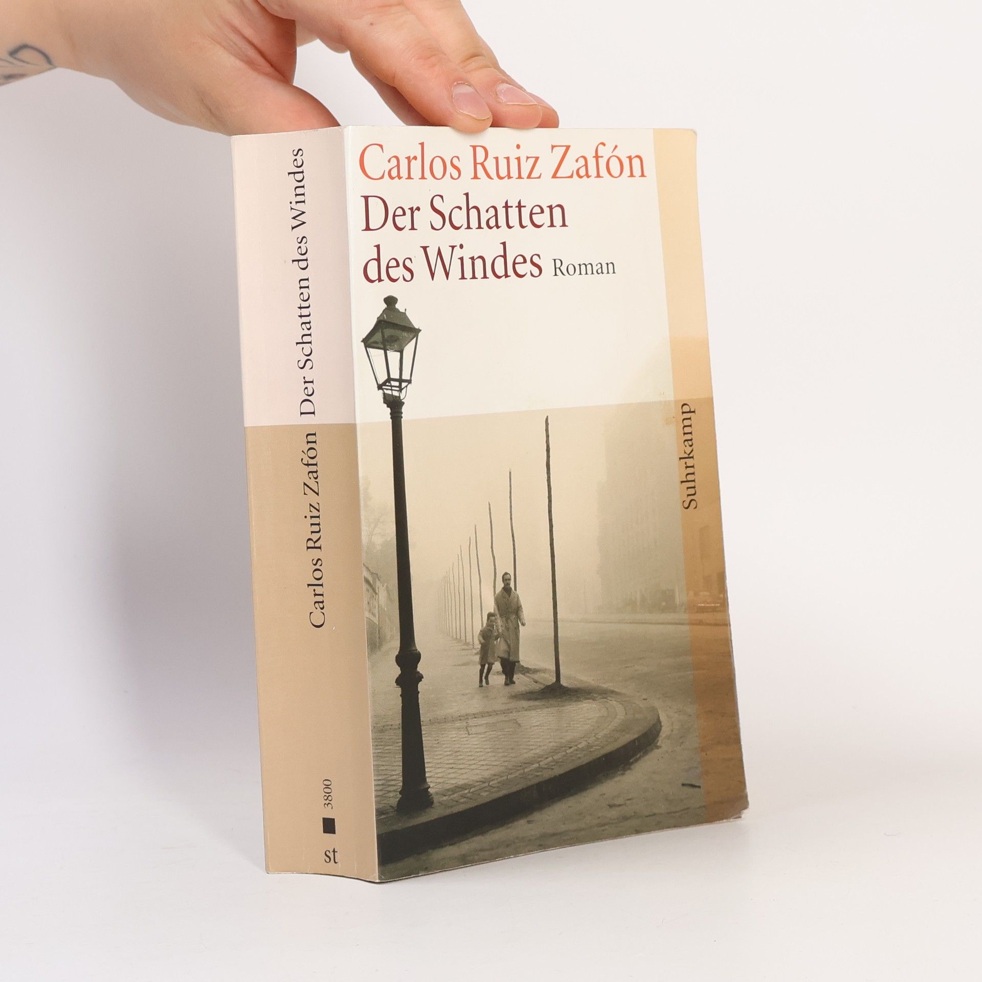 Carlos Ruiz Zafón Der Schatten des Windes