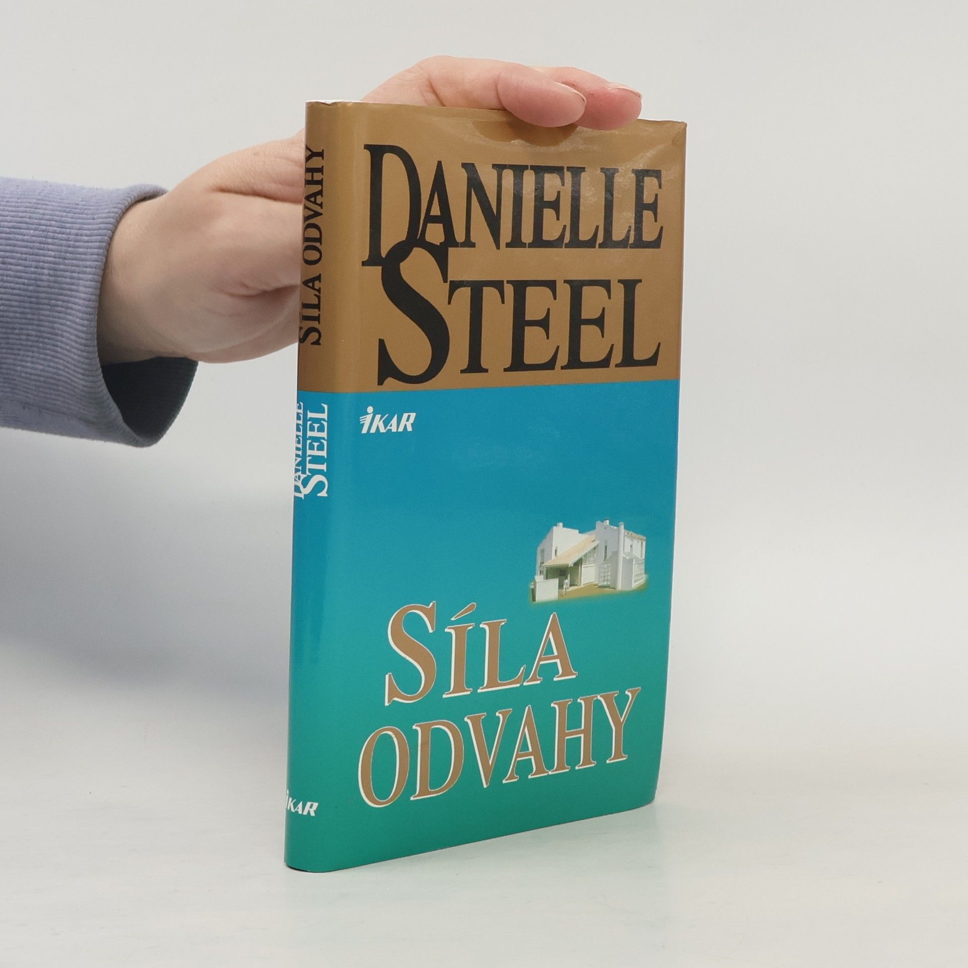 Danielle Steel Síla odvahy