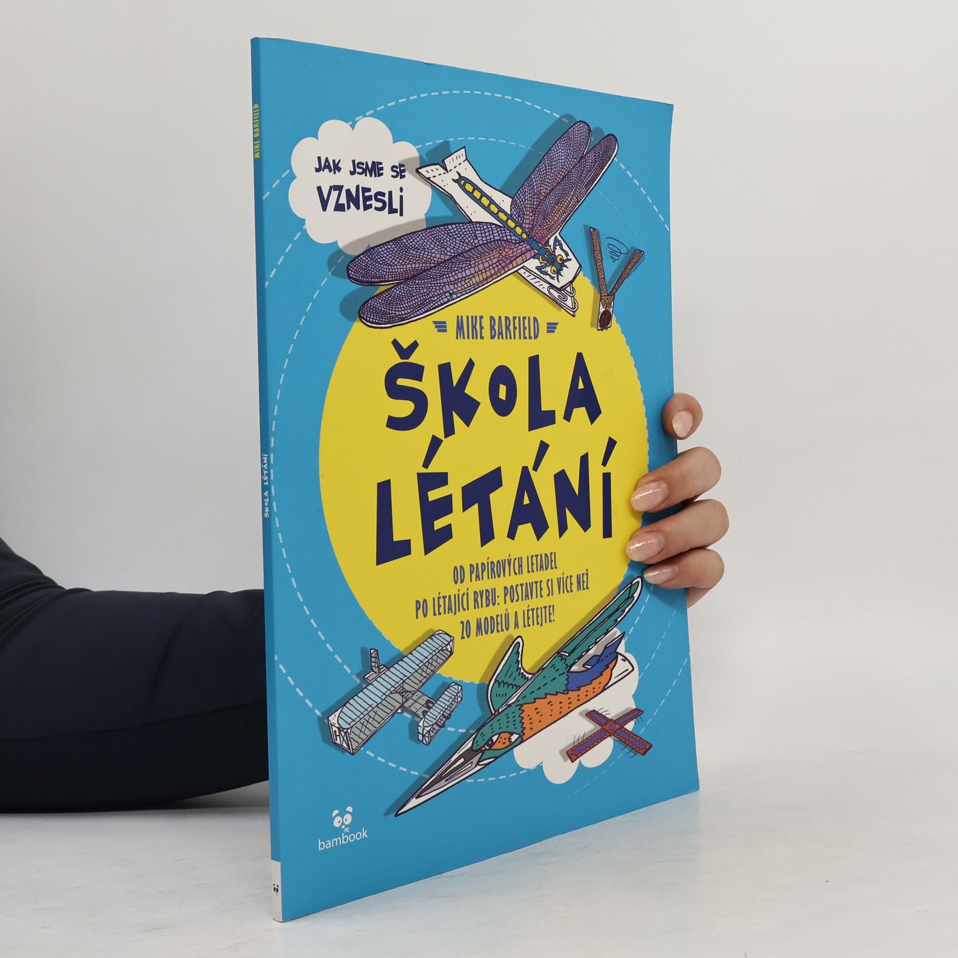 Mike Barfield Škola létání