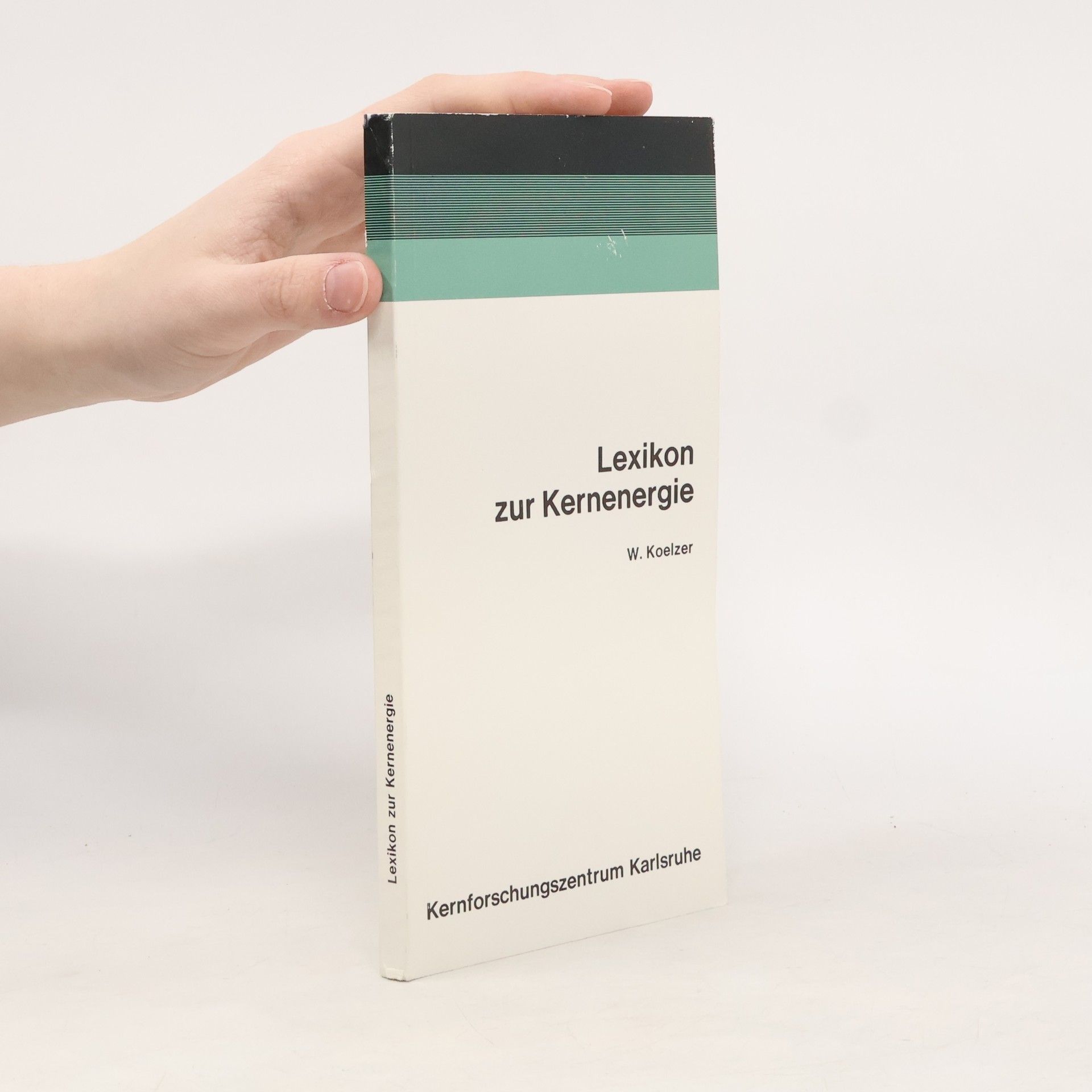 Winfried Koelzer Lexikon zur Kernenergie
