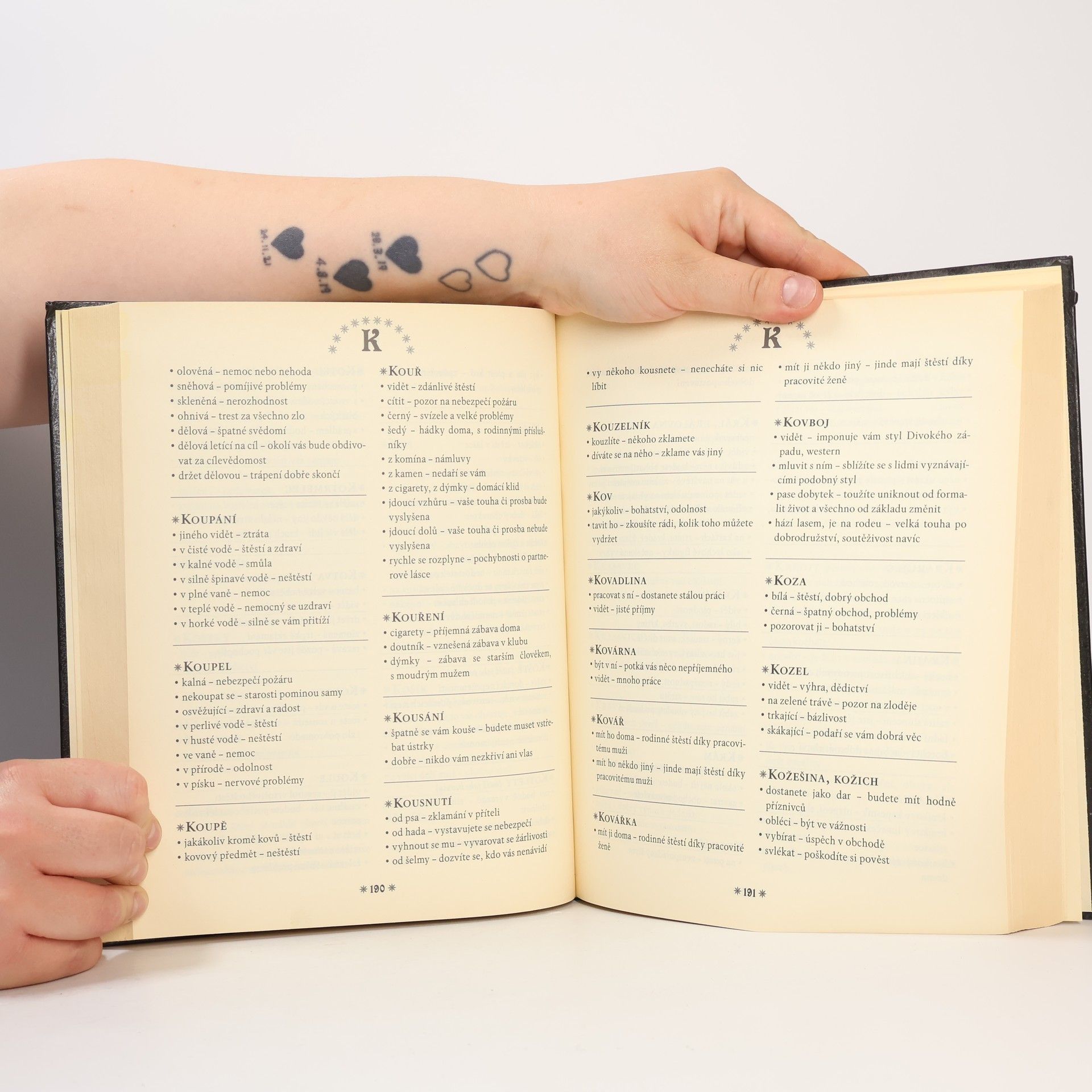 Autorenkollektiv Velký snář. Více než 10 000 hesel