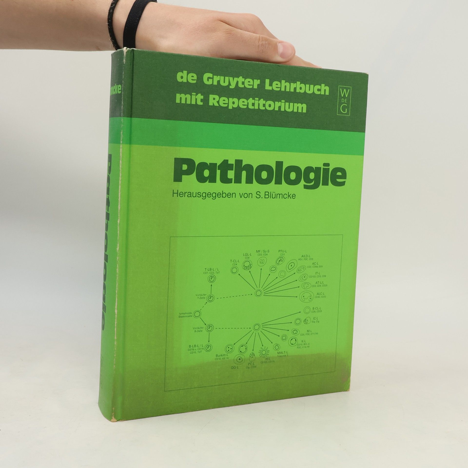 Sigurd Blümcke Pathologie