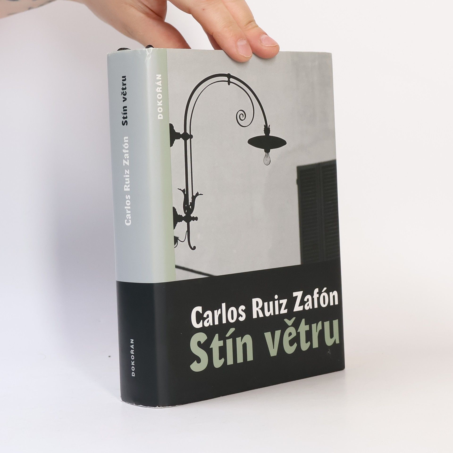 Carlos Ruiz Safon Stín větru