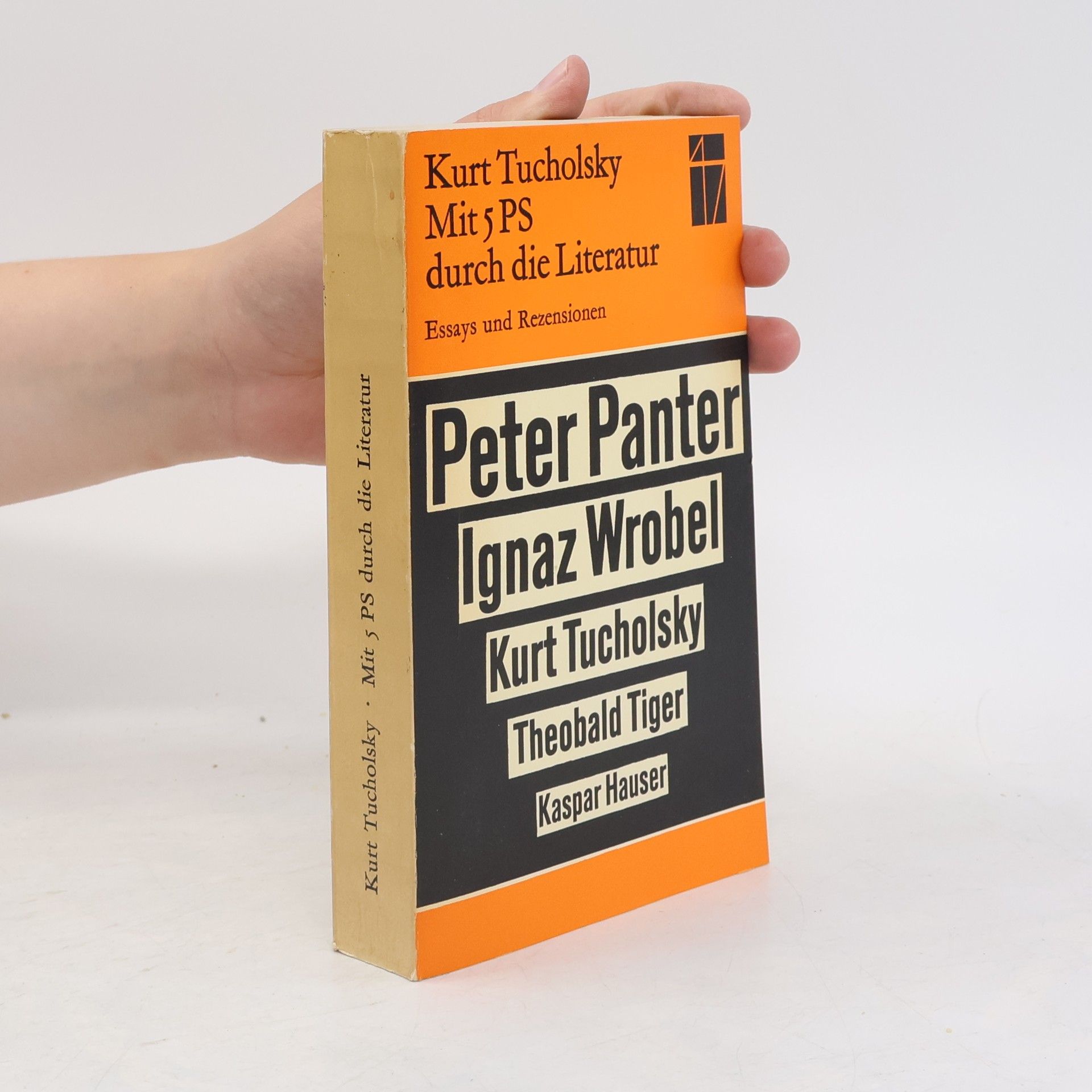 Mit 5 PS durch die Literatur. Essays und Rezensionen
