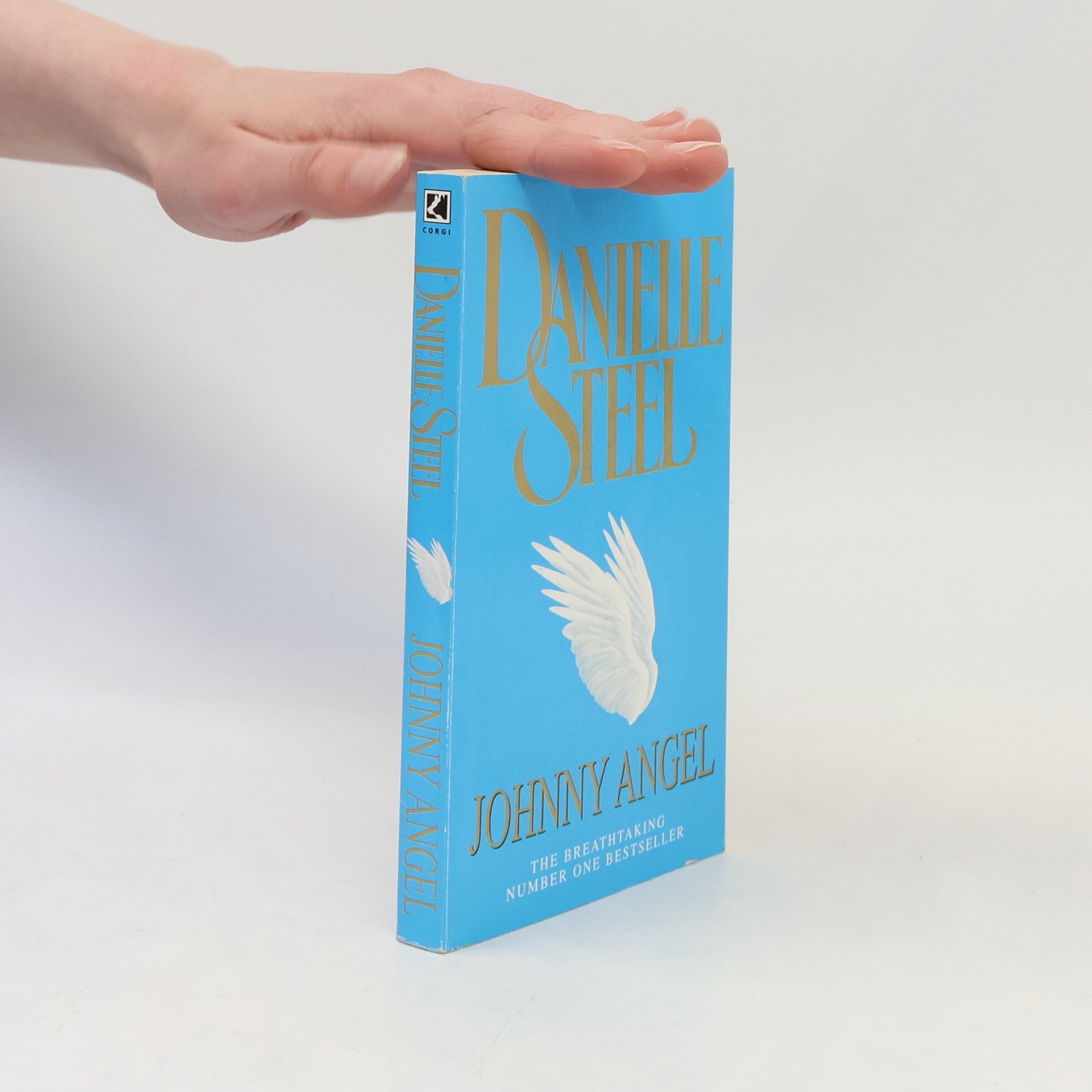 Danielle Steel Johnny Angel