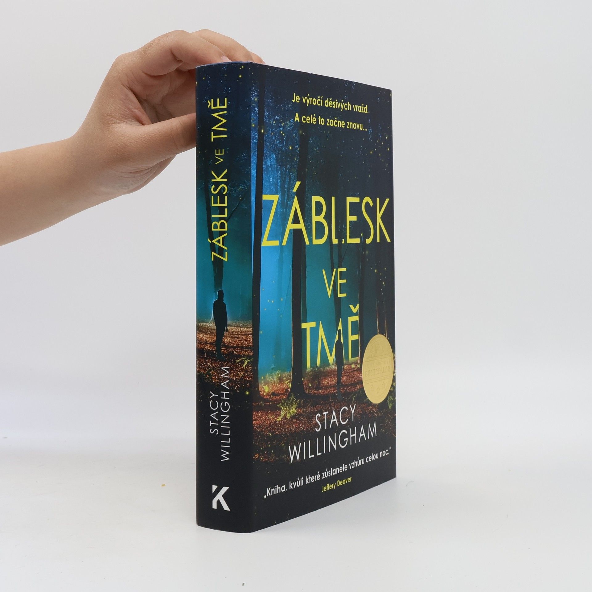 Stacy Willingham Záblesk ve tmě