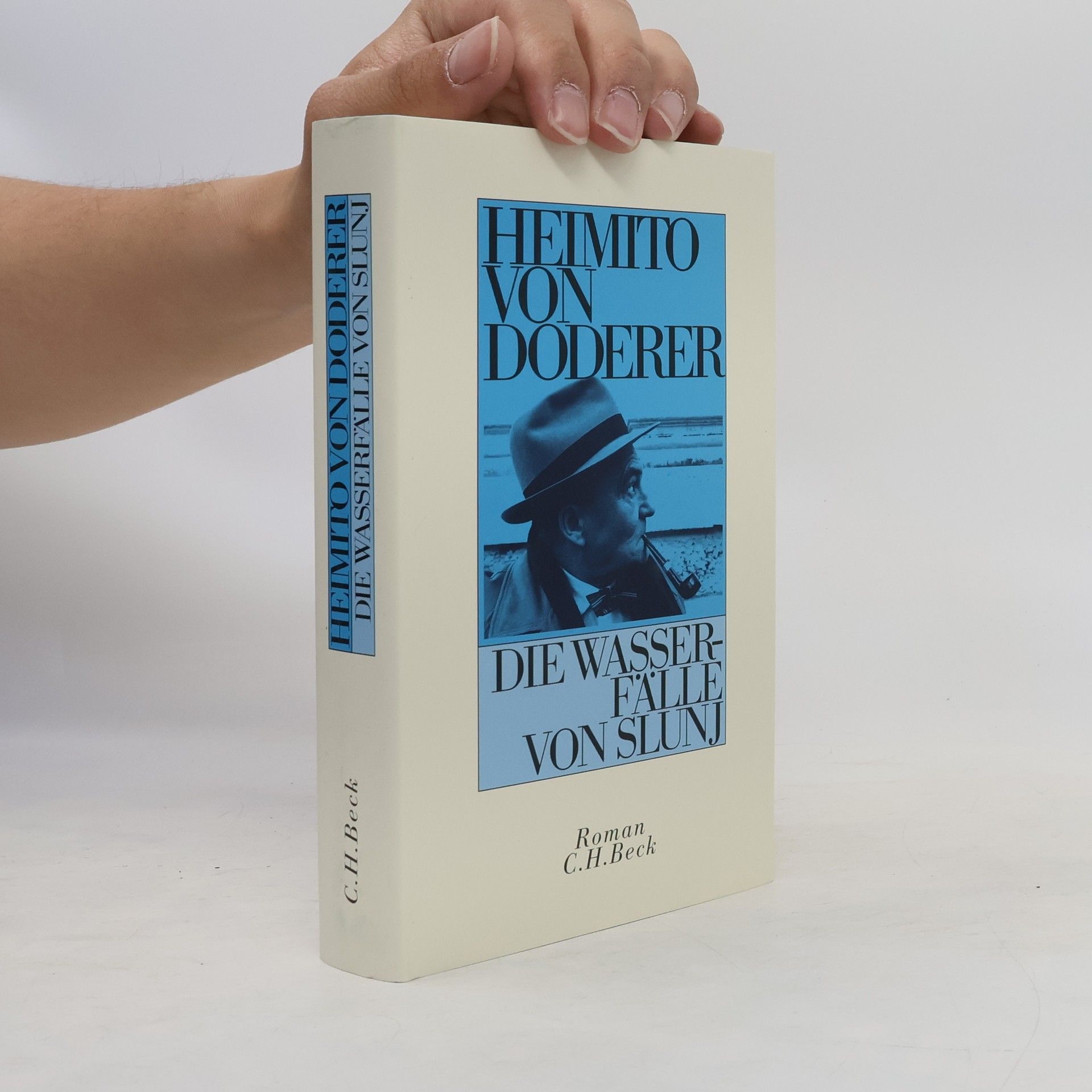 Heimito von Doderer Die Wasserfälle von Slunj