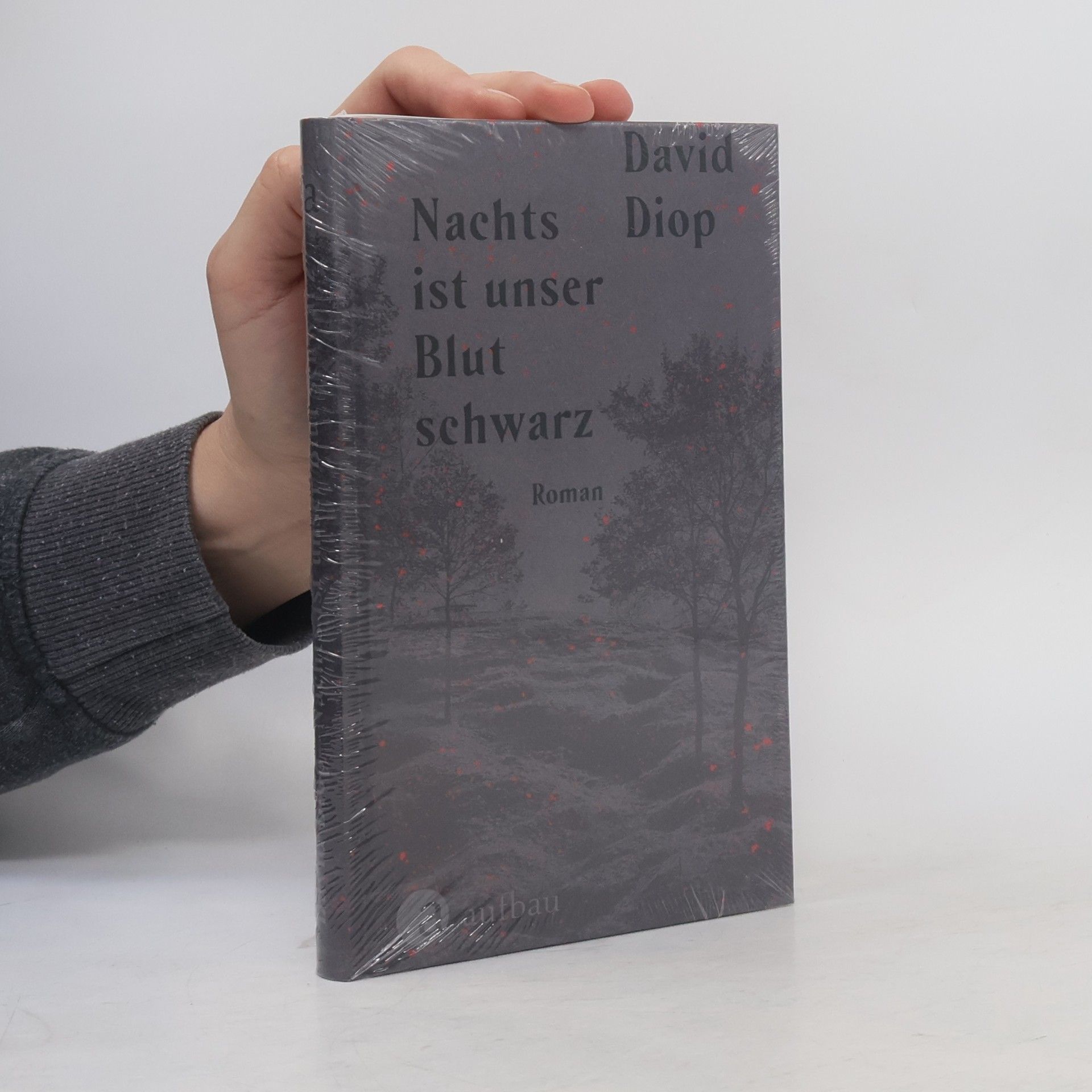 David Diop Nachts ist unser Blut schwarz
