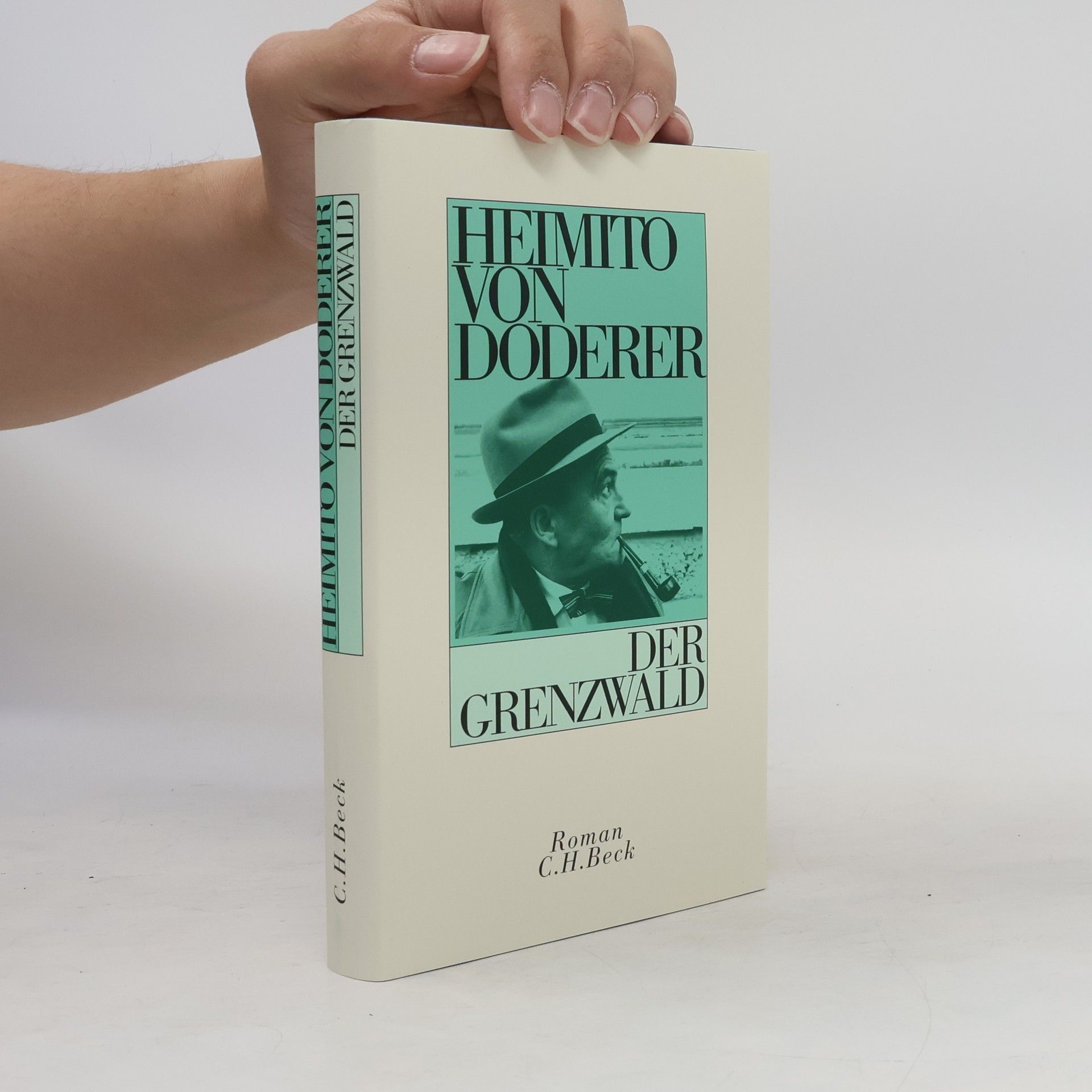 Heimito von Doderer Der Grenzwald