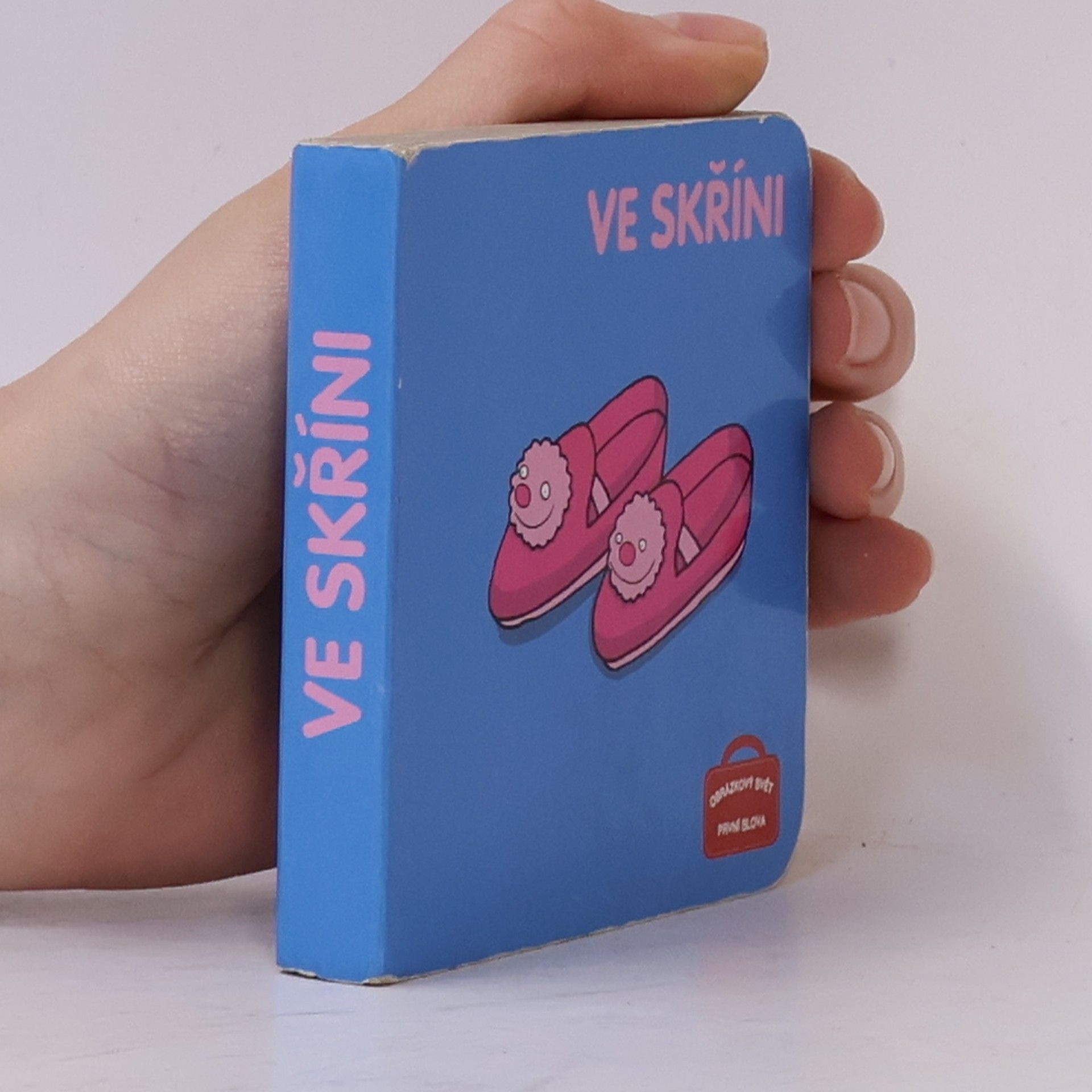Kolektiv autorů Ve skříni