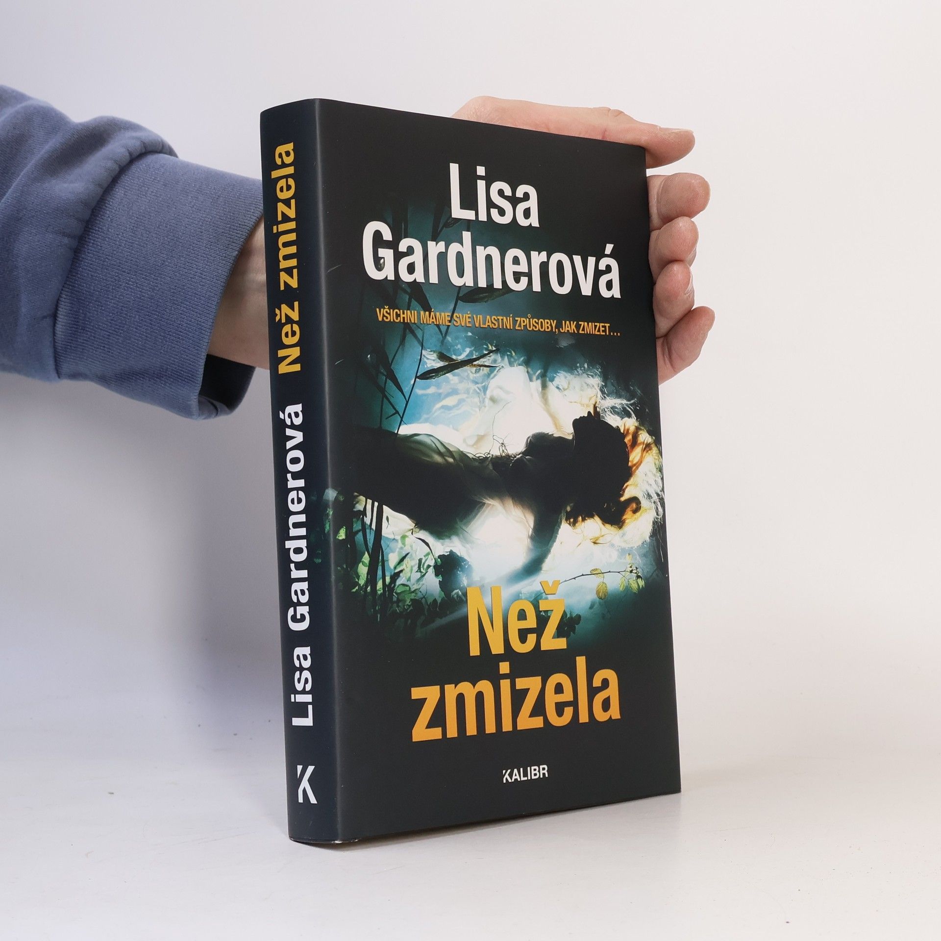 Lisa Gardner Než zmizela