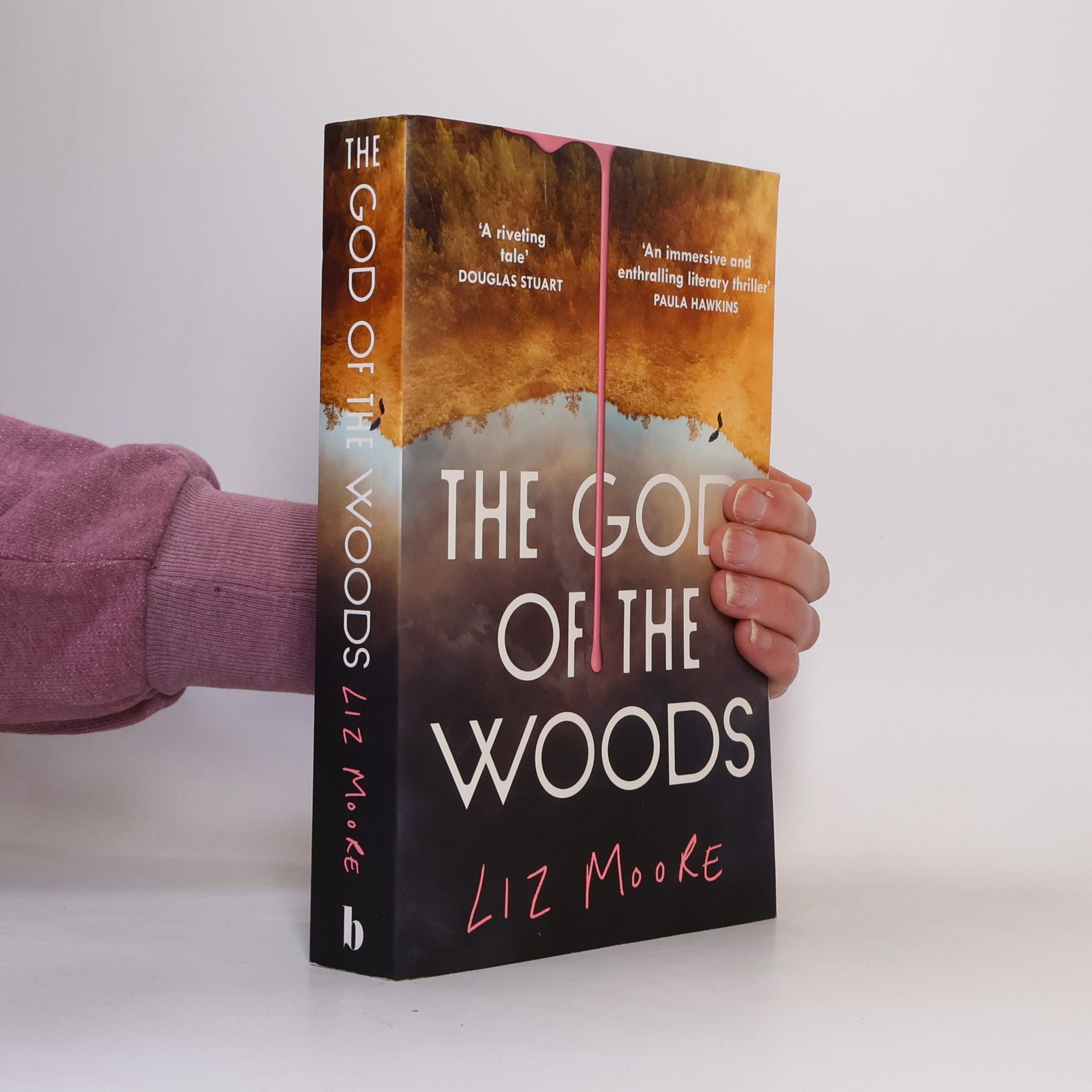 Liz Moore The God of the Woods