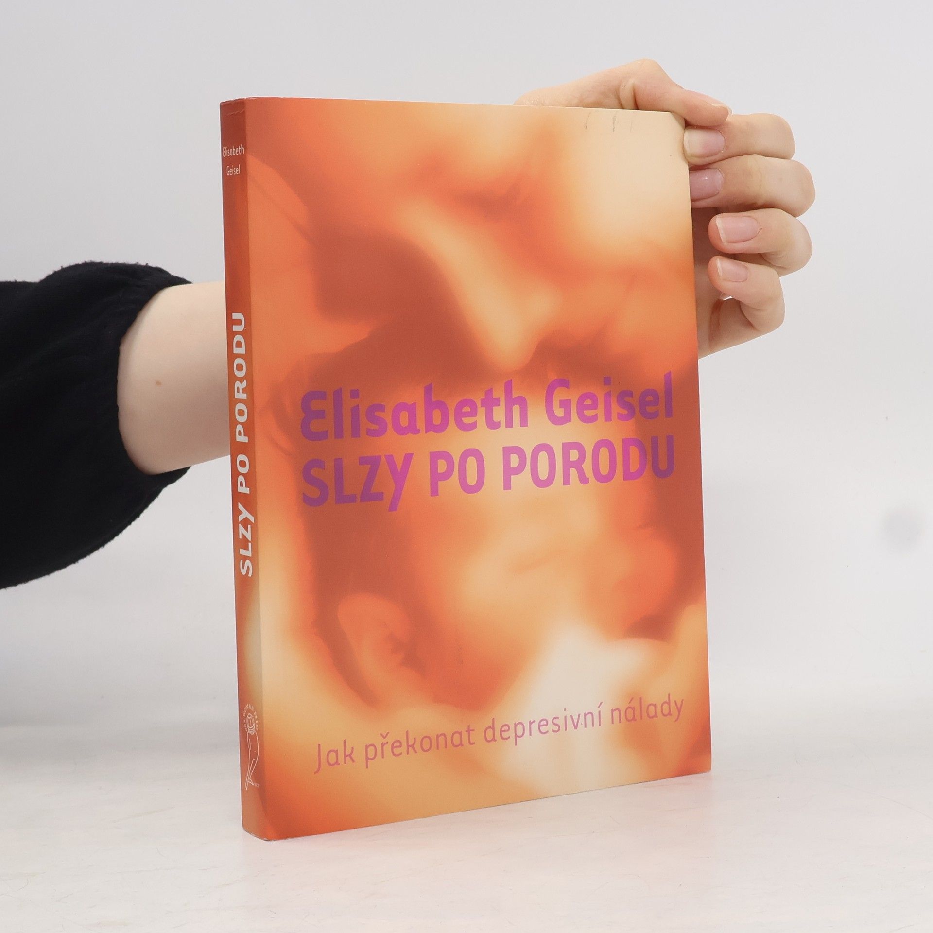Elisabeth Geisel Slzy po porodu. Jak překonat depresivní nálady