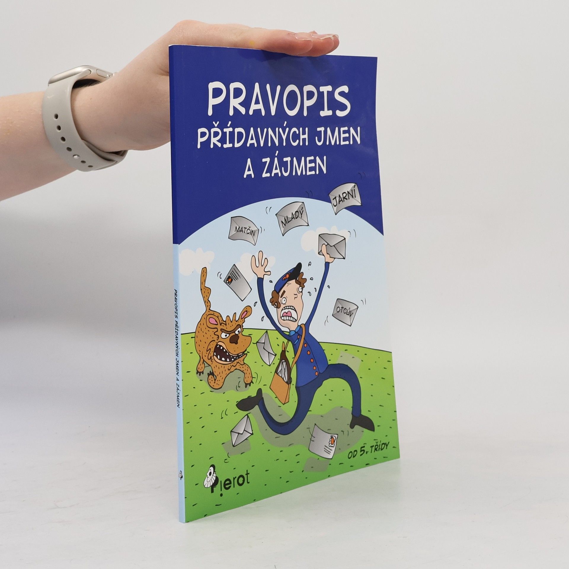 Petr Šulc Pravopis přídavných jmen a zájmen