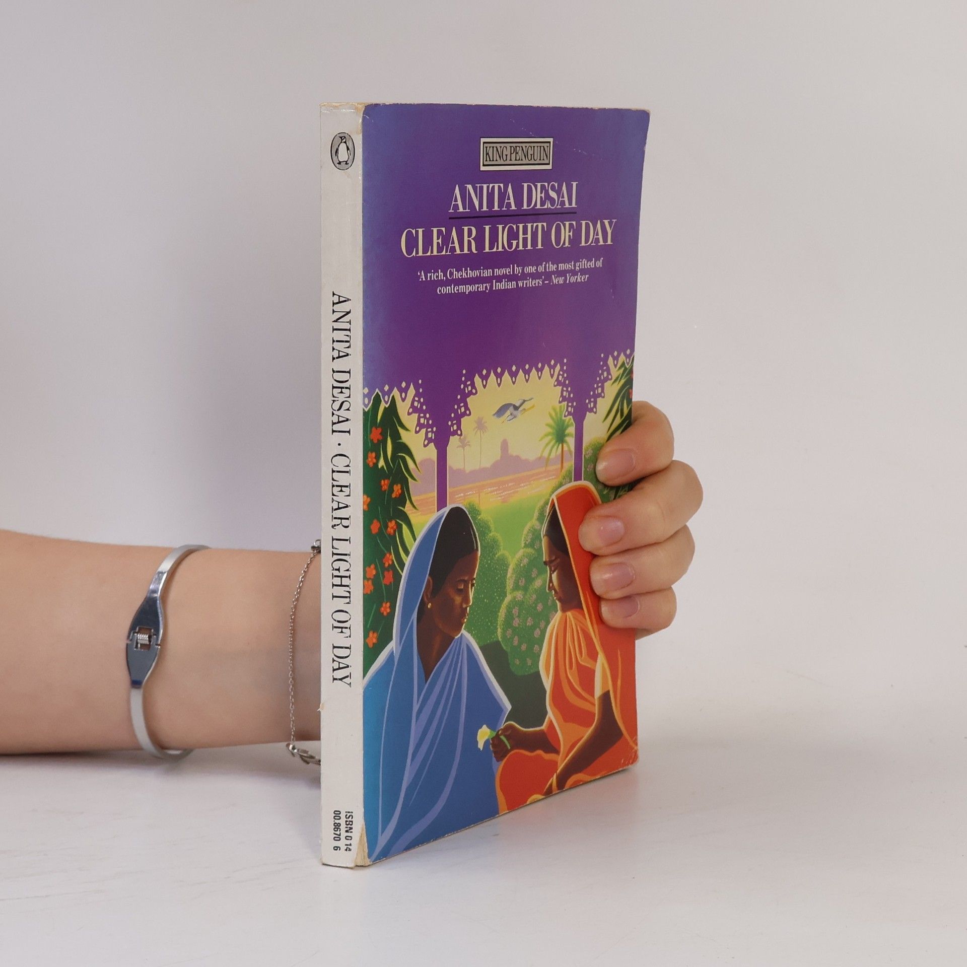 Anita Desai The Clear Light of Day
