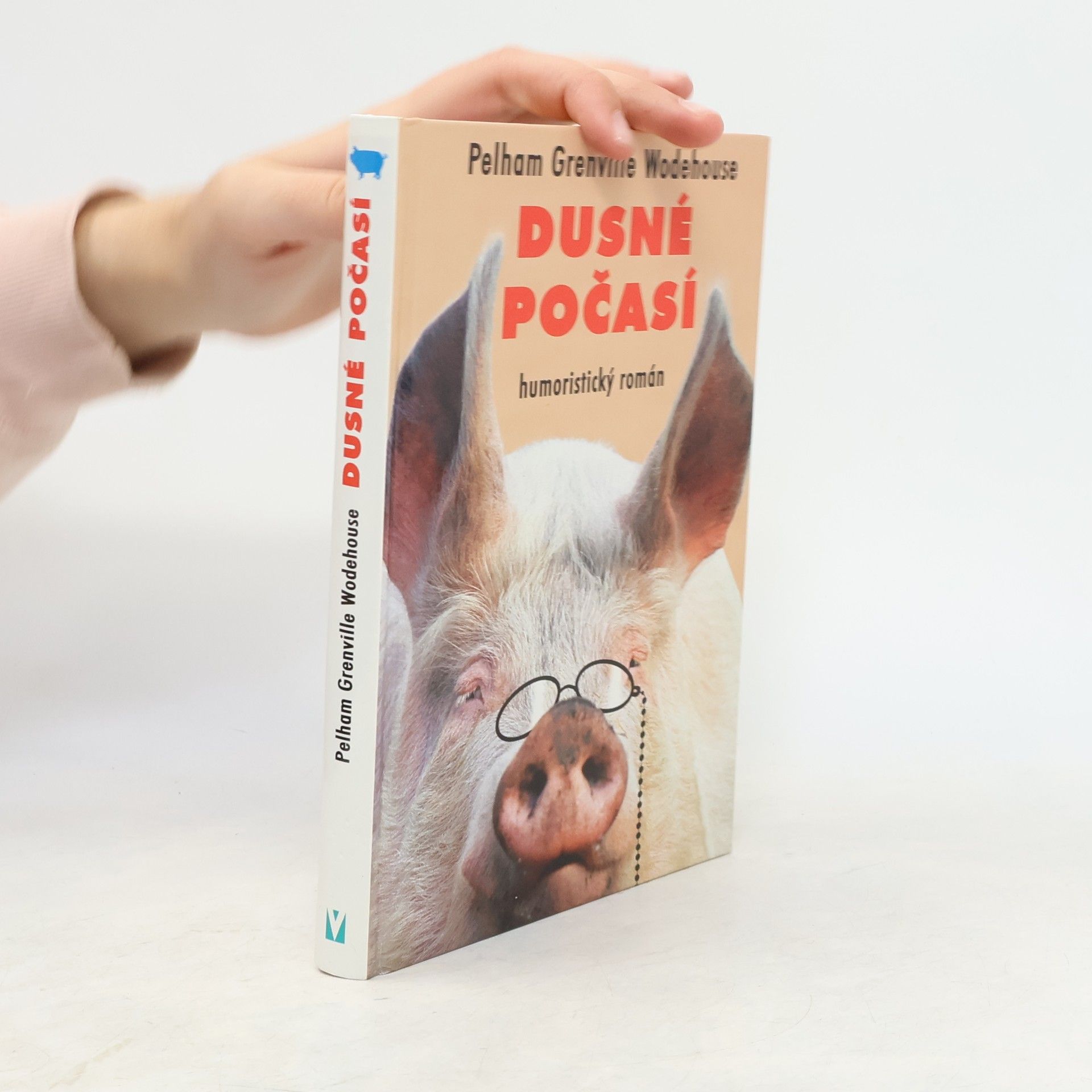Dusné počasí