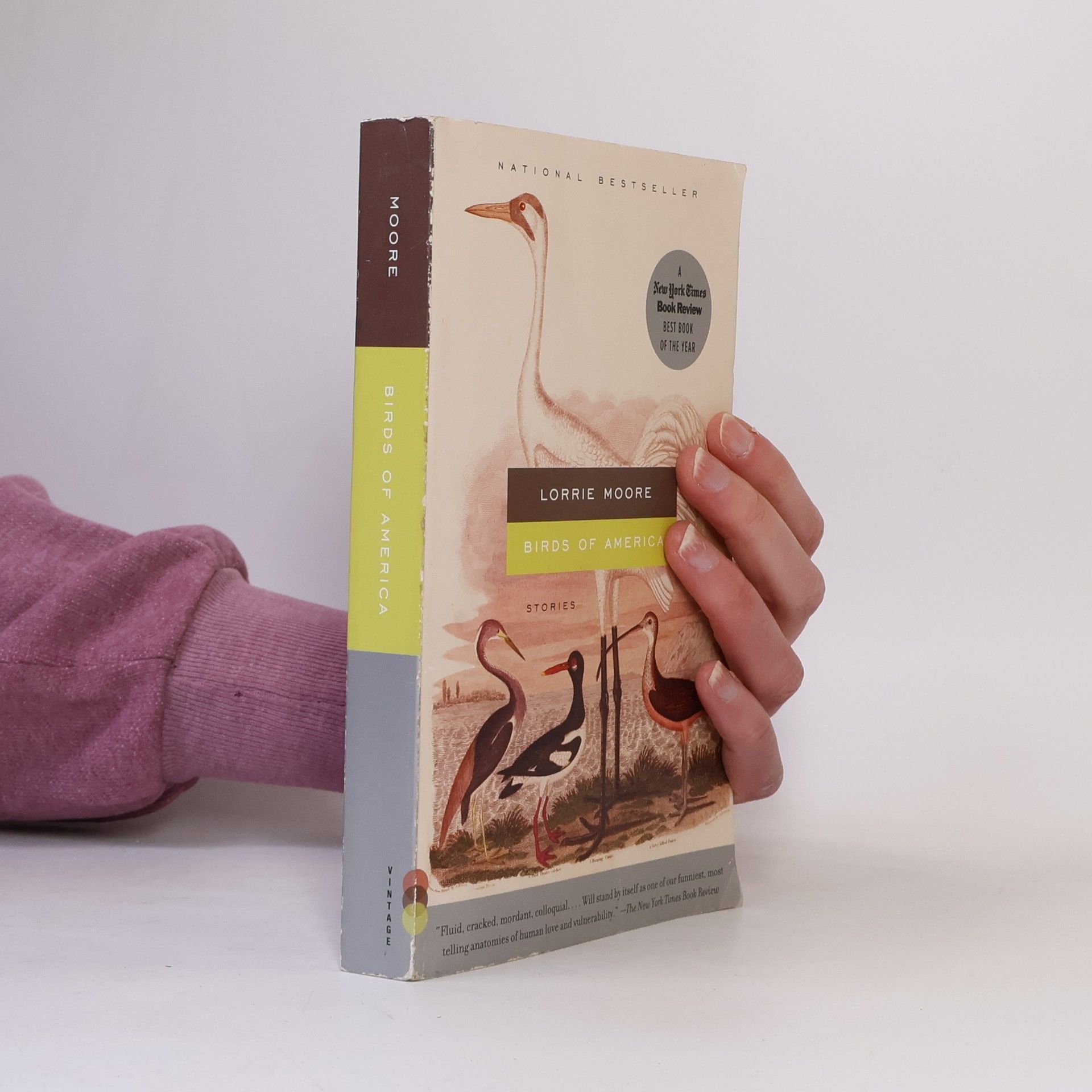 Lorrie Moore Birds of America