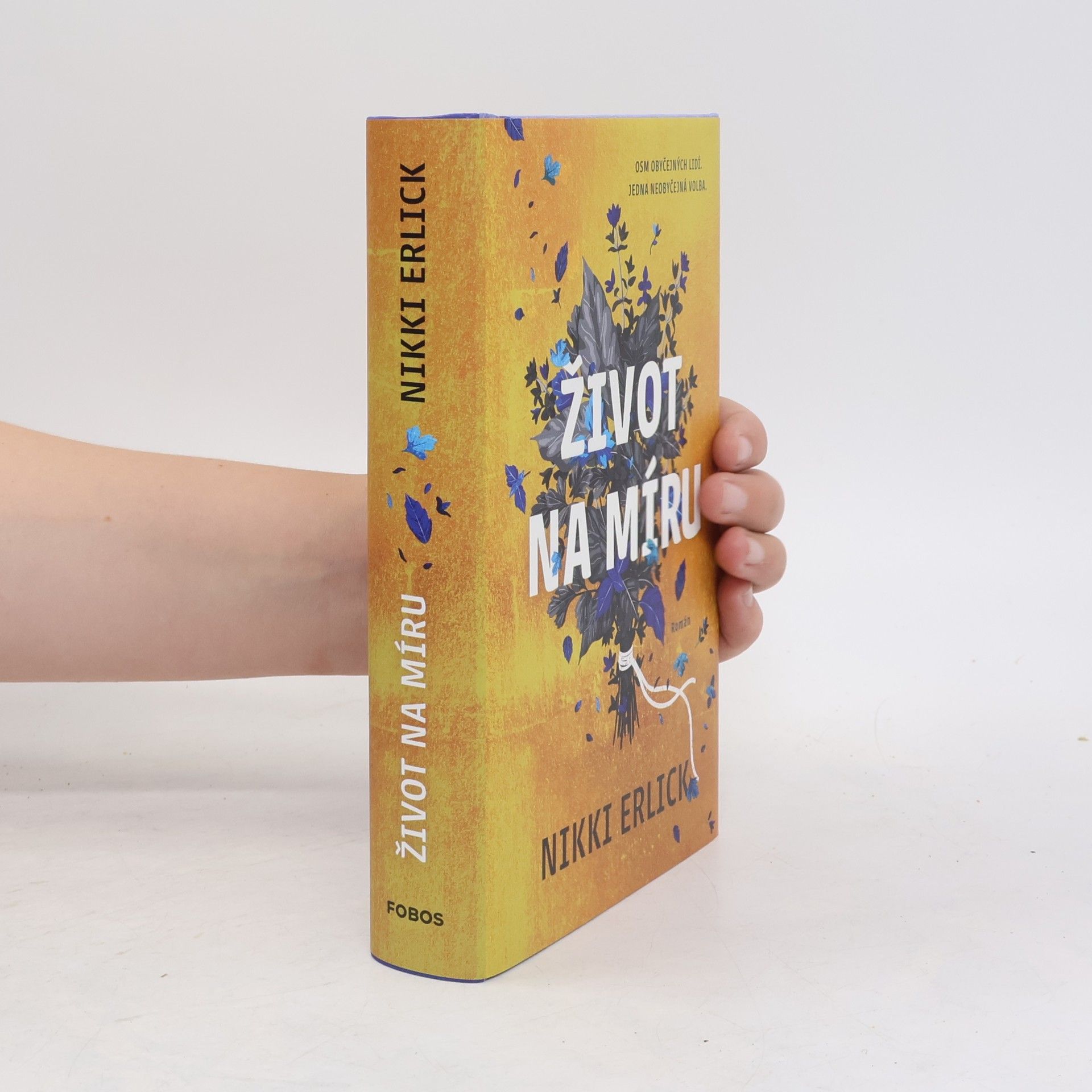 Nikki Erlick Život na míru
