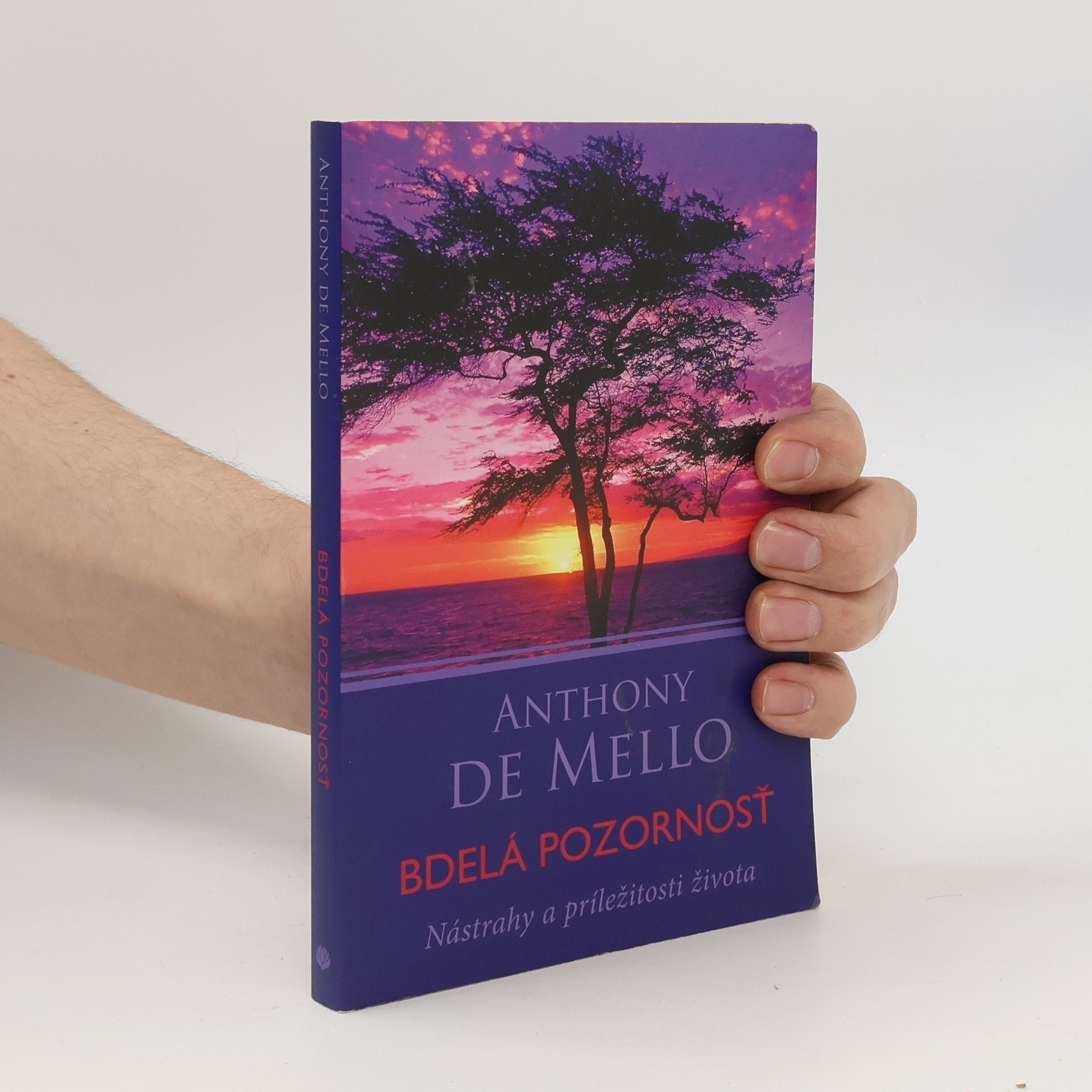 Anthony de Mello Bdelá pozornosť