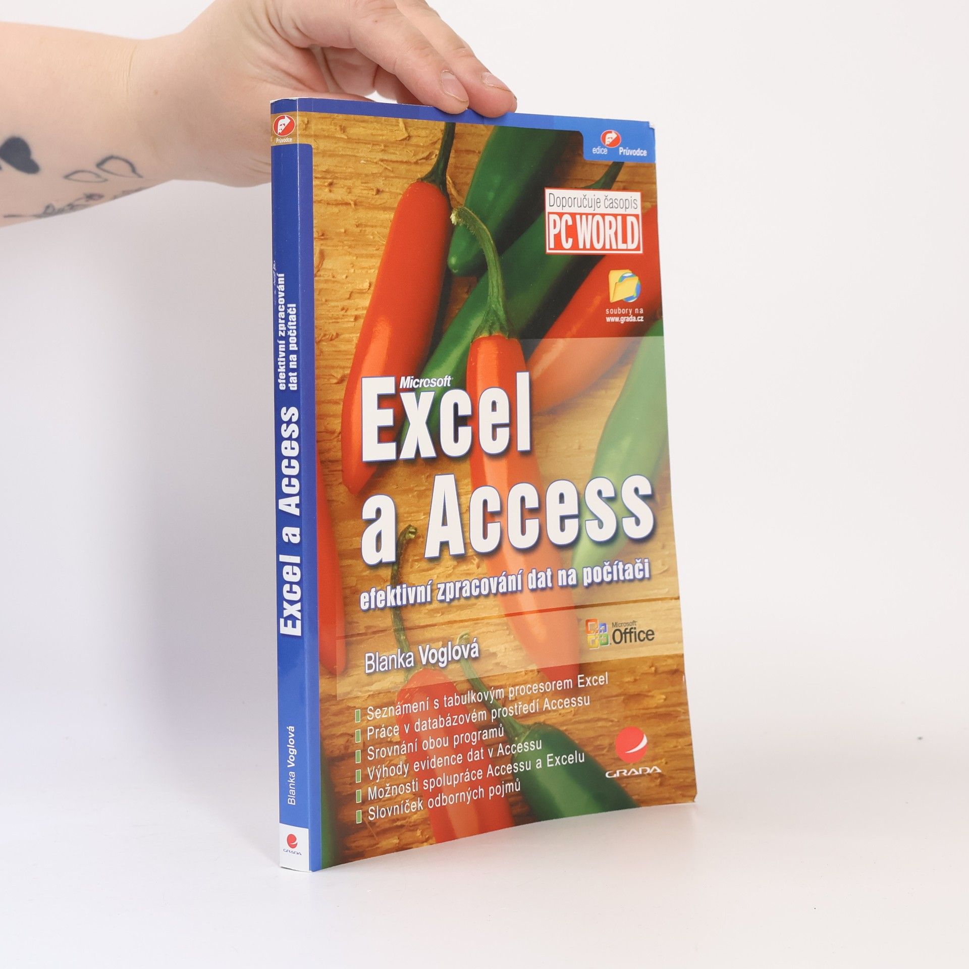 Blanka Voglová Excel a Access : efektivní zpracování dat na počítači
