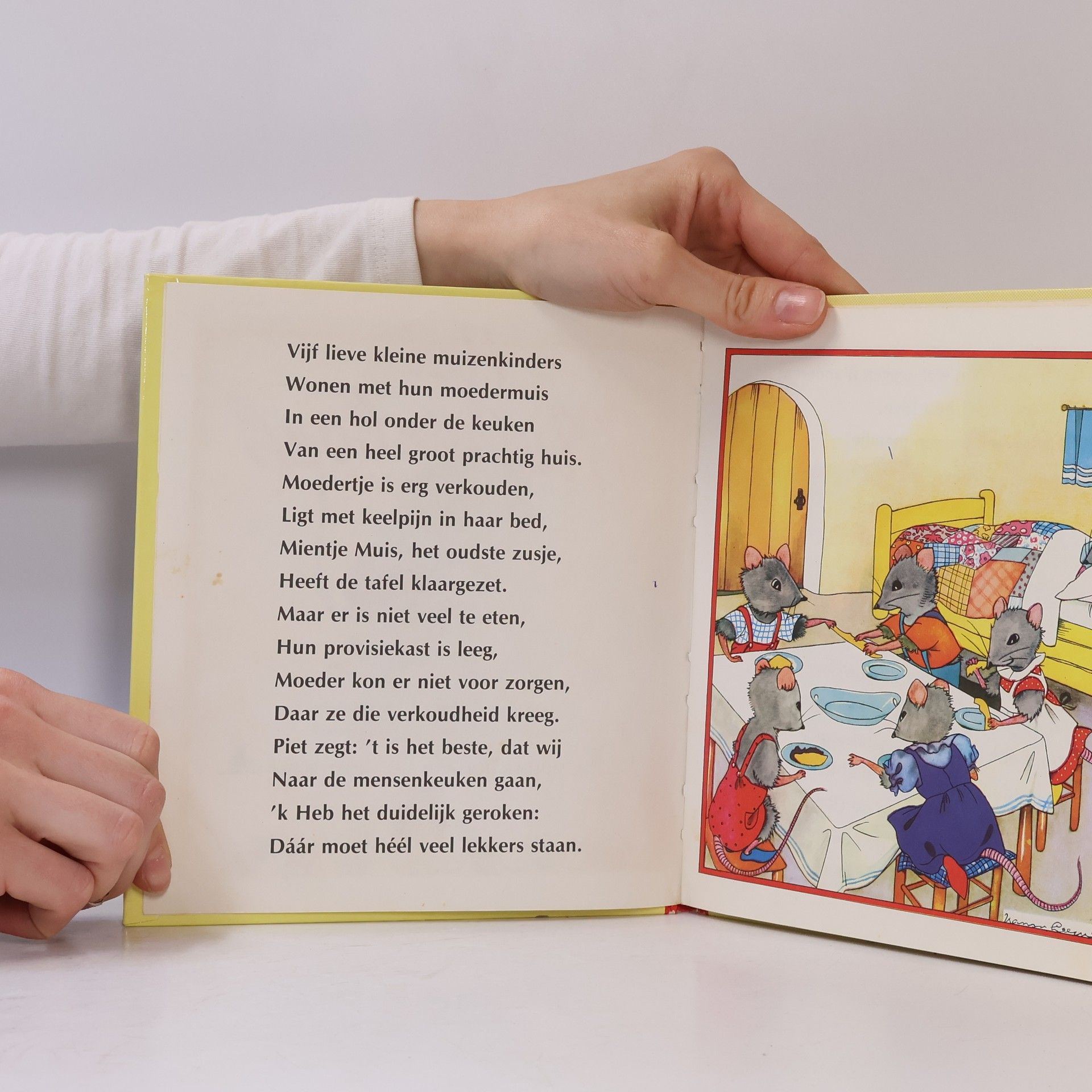 Autorenkollektiv Het Muizenboek