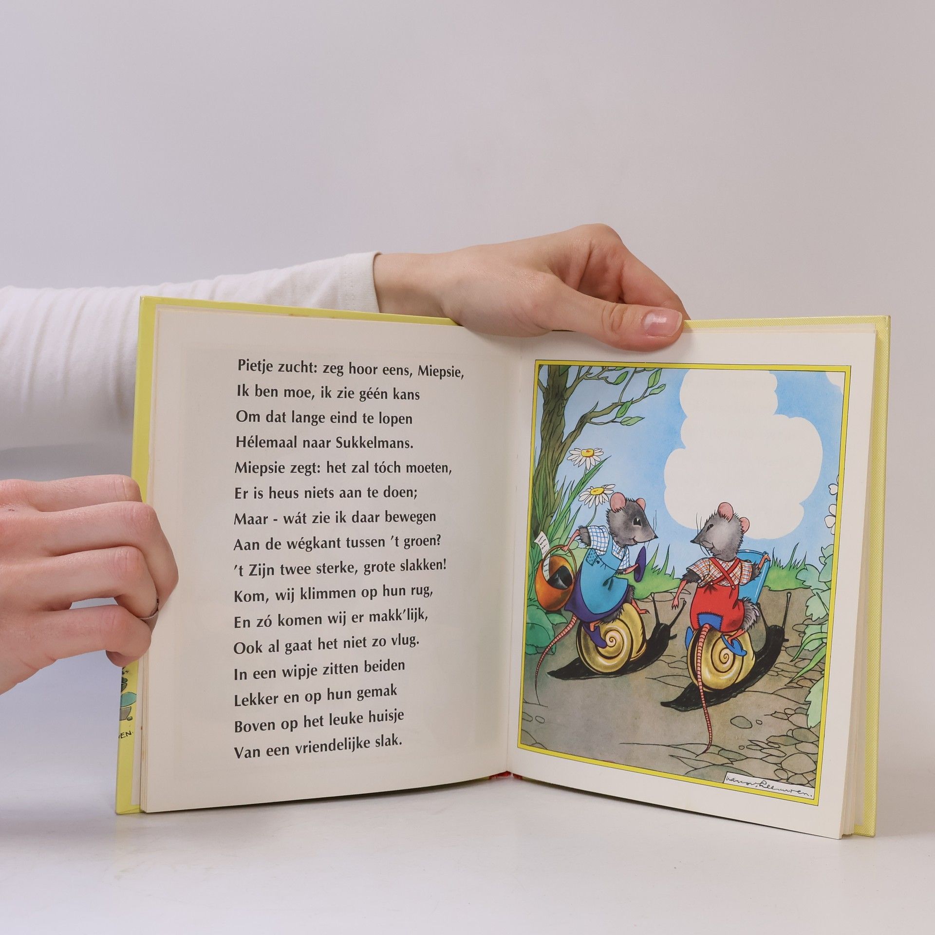 Autorenkollektiv Het Muizenboek