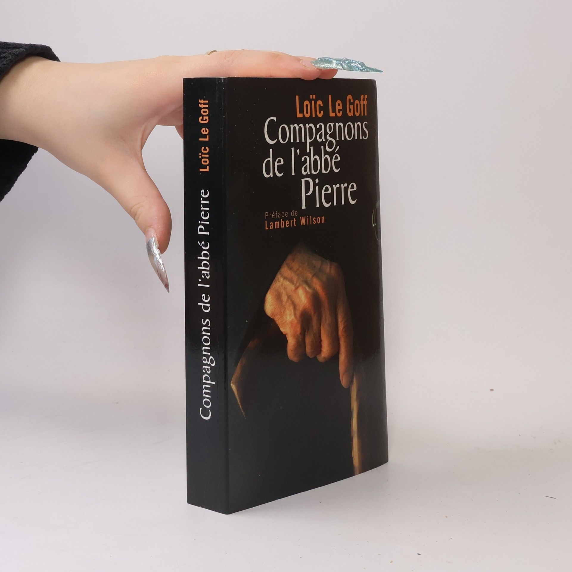 Loïc Le Goff Compagnons de l'Abbé Pierre