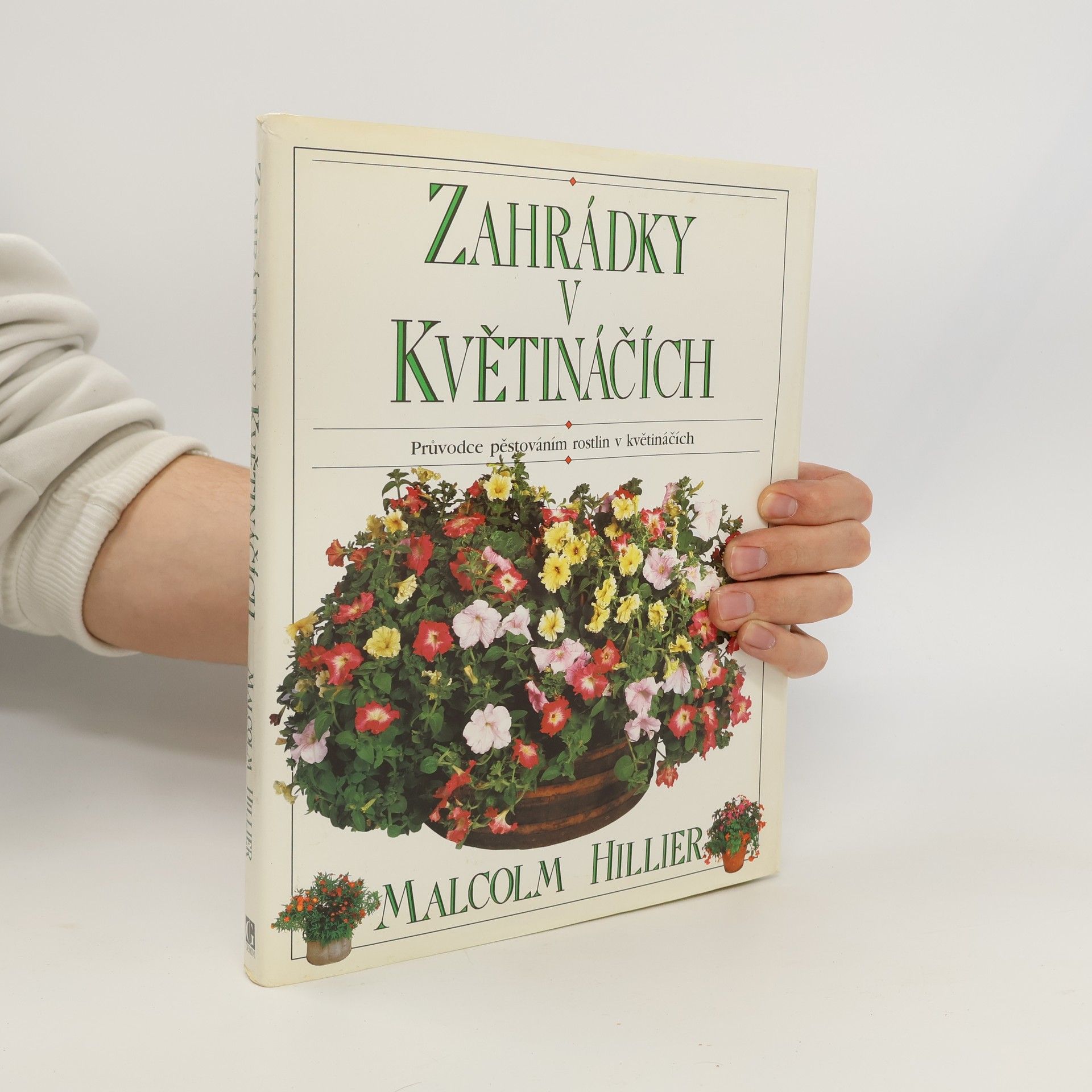 Zahrádky v květináčích
