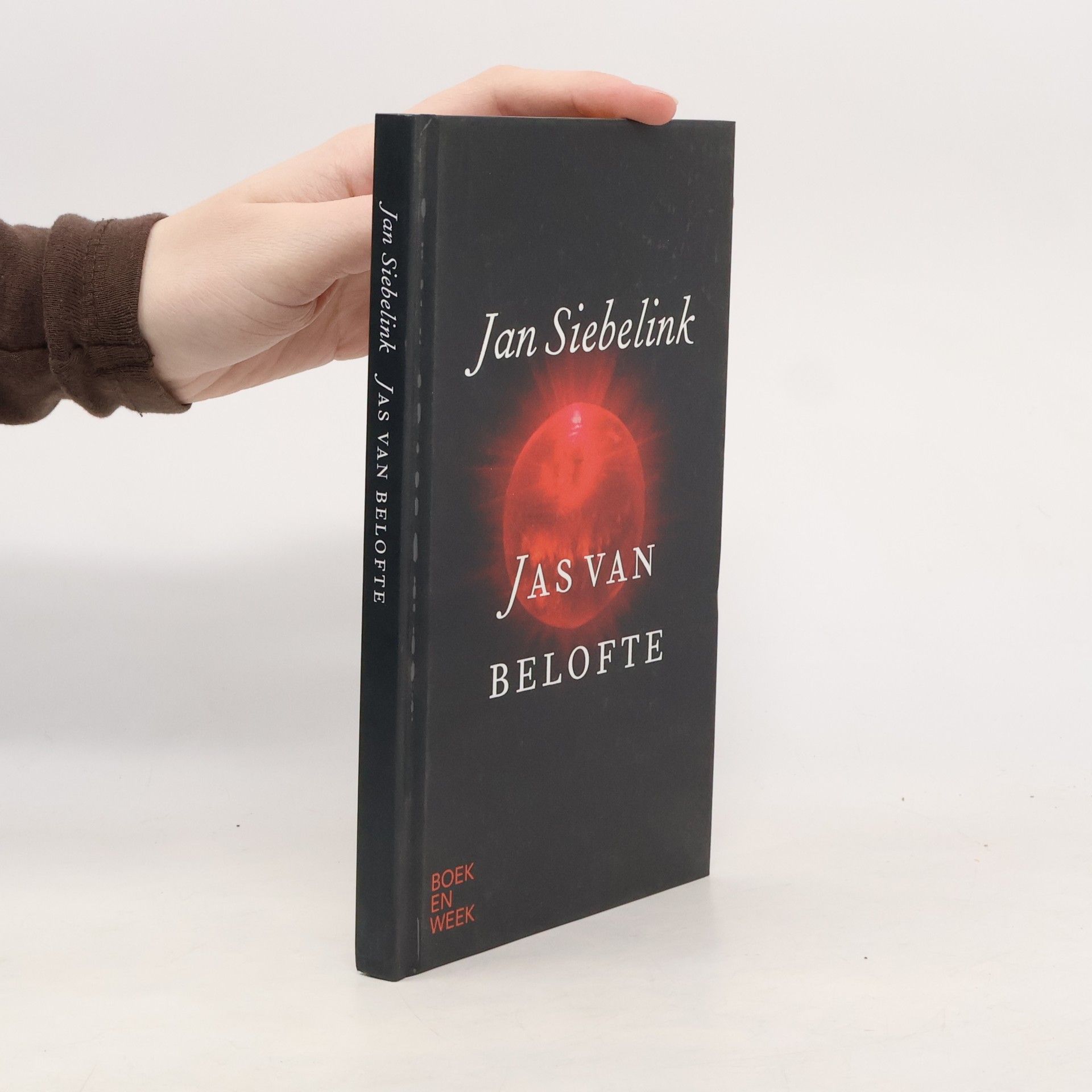Jan Geurt Siebelink Jas van belofte
