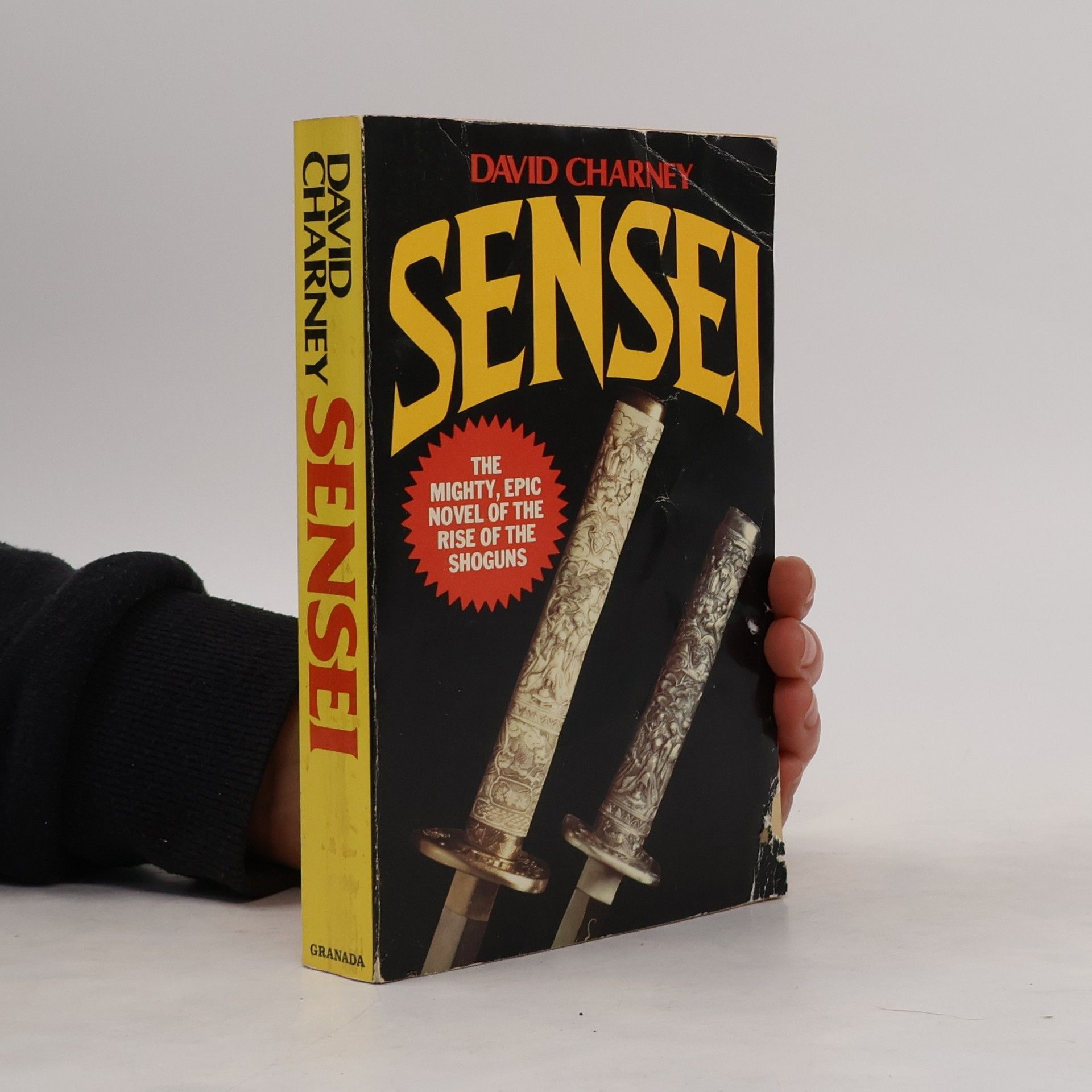 David Charney Sensei