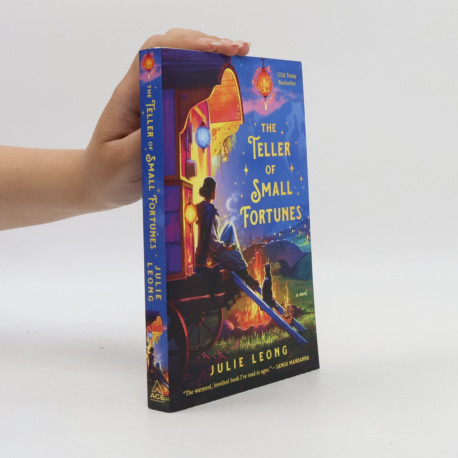 Julie Leong The Teller of Small Fortunes