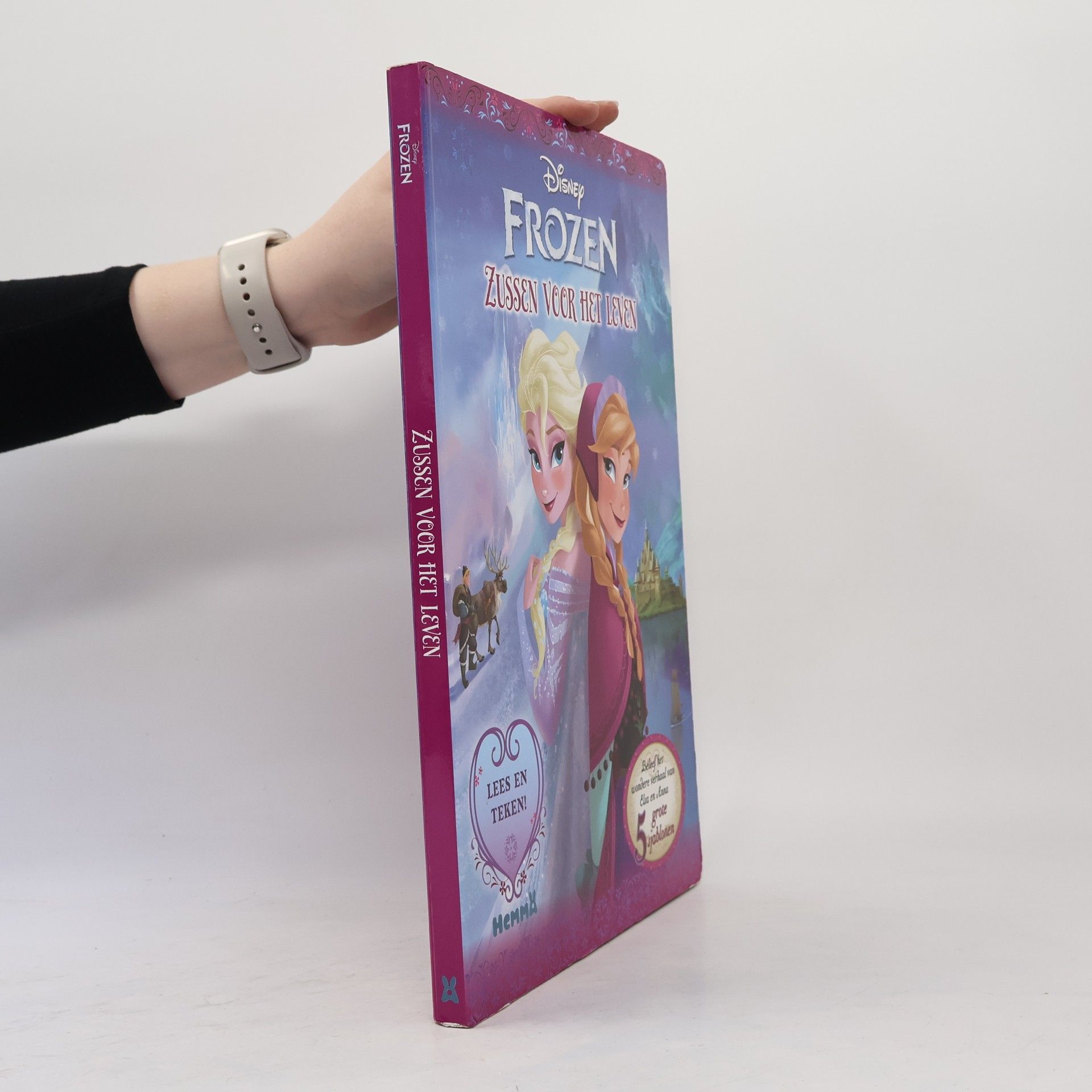 Walt Disney Frozen. Zussen voor het leven