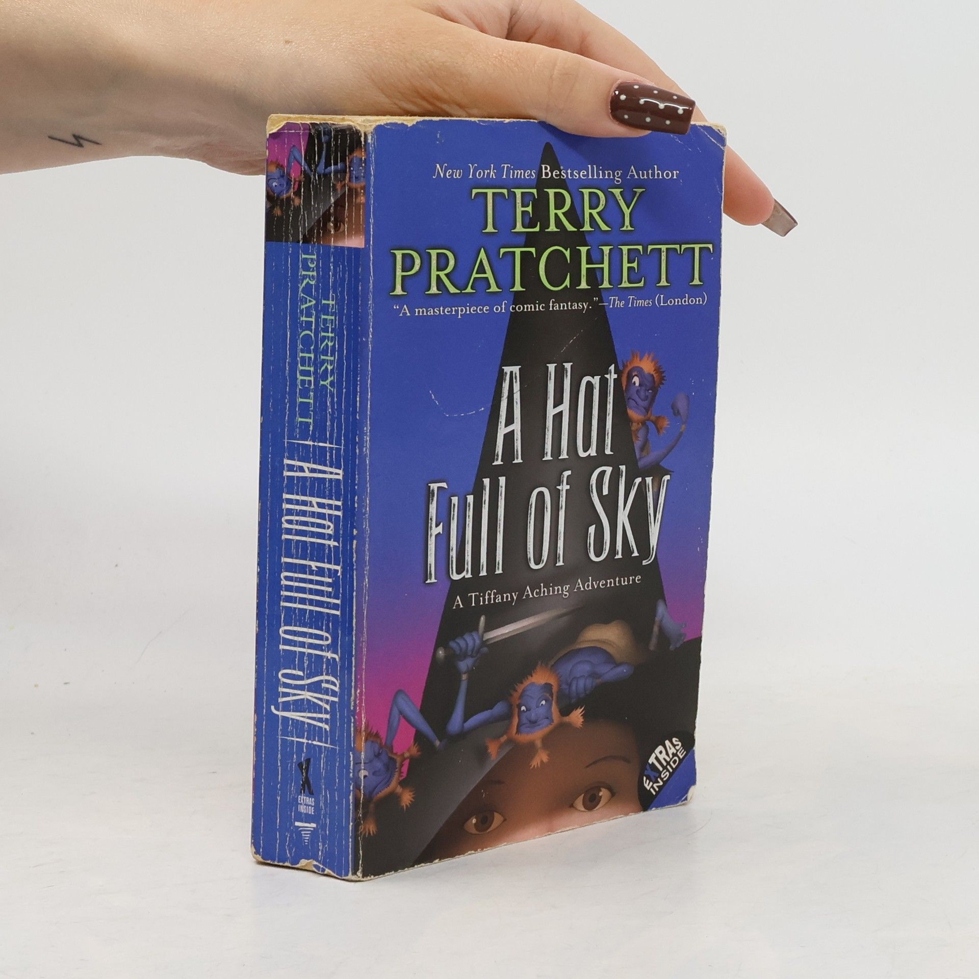 Terry Pratchett A Hat Full of Sky
