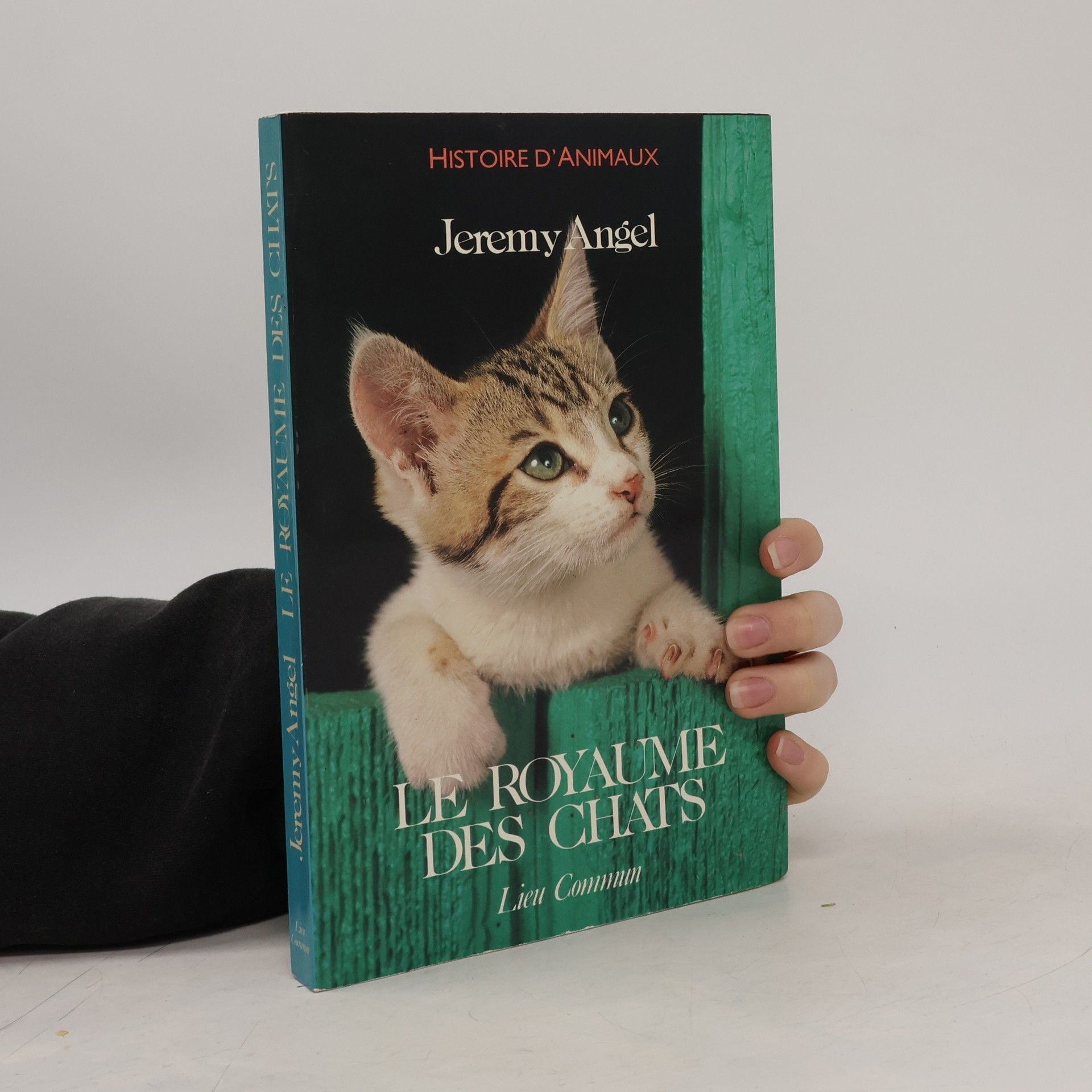 Jeremy Angel Le royaume des chats