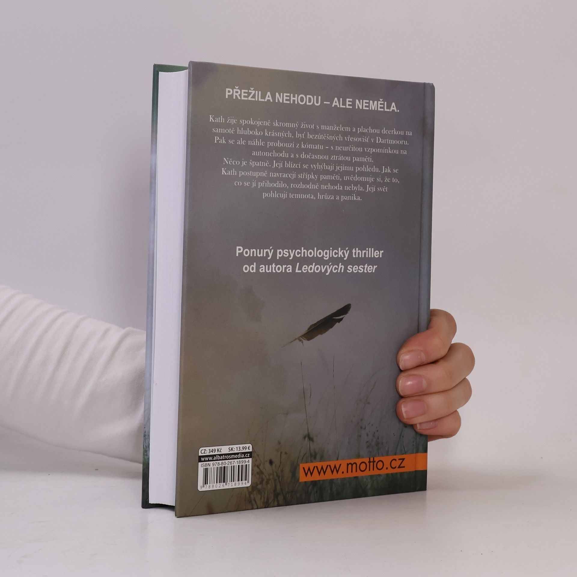 S. K. Tremayne Než jsem zemřela