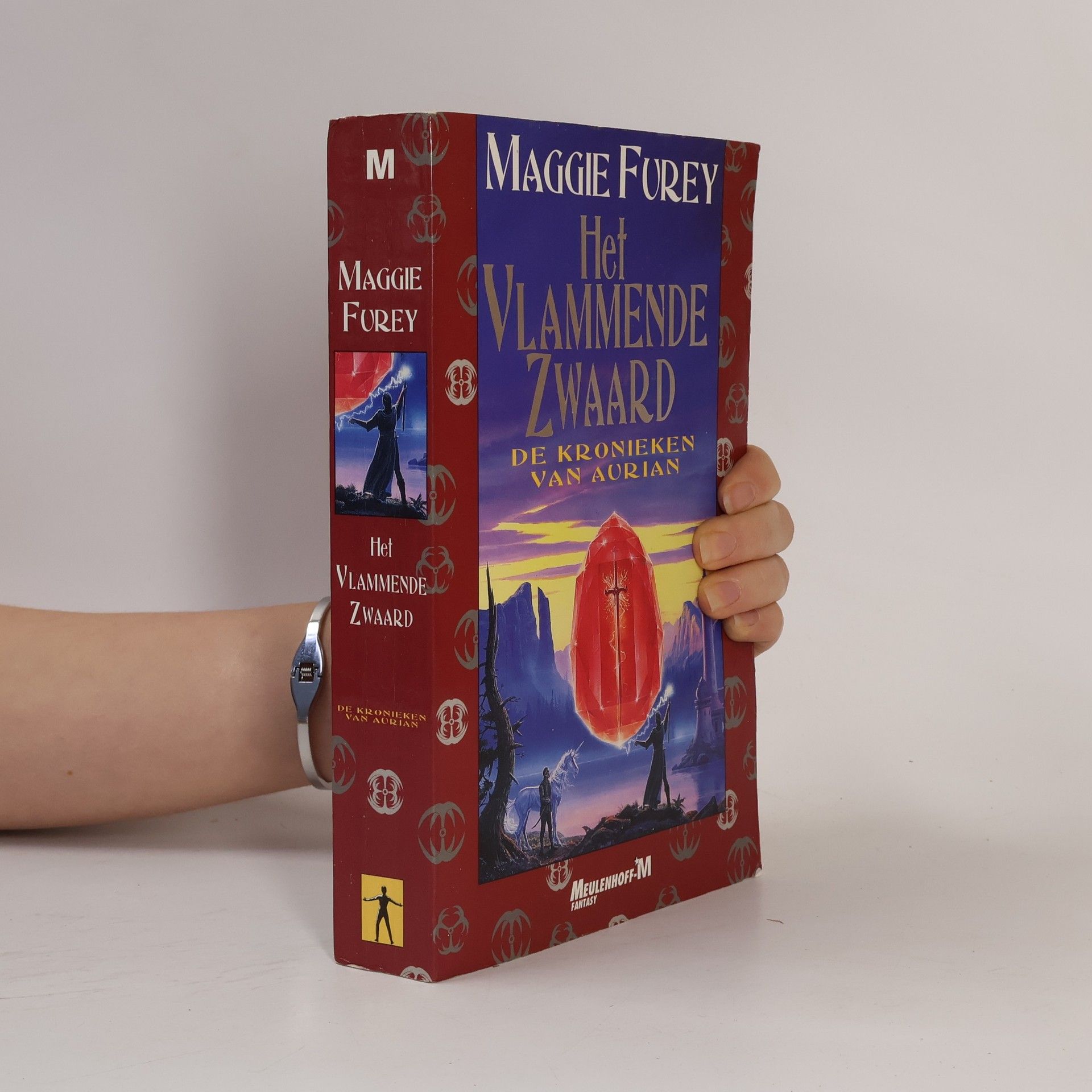 Maggie Forey Het vlammende zwaard