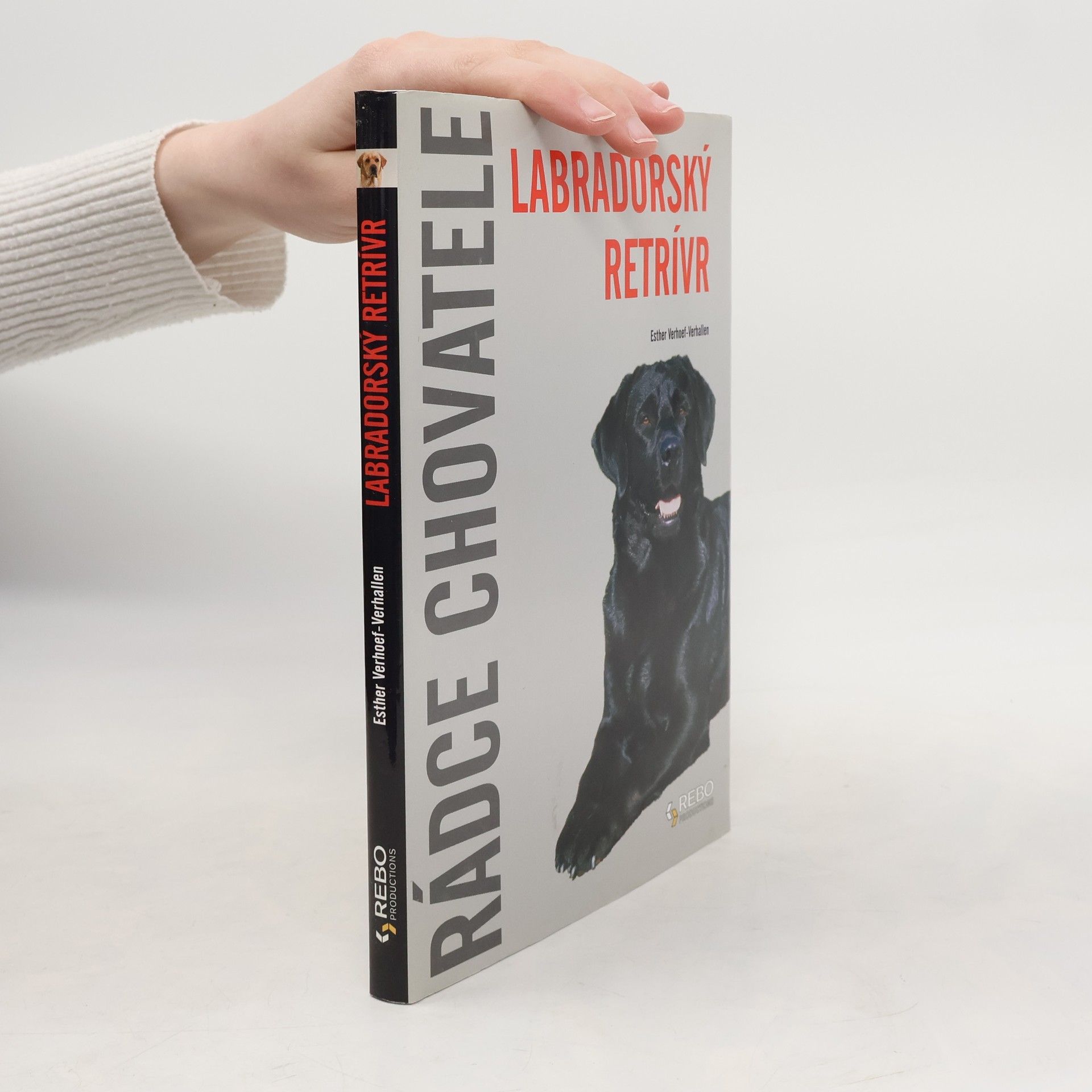 Berry Verhoef Labradorský retrívr