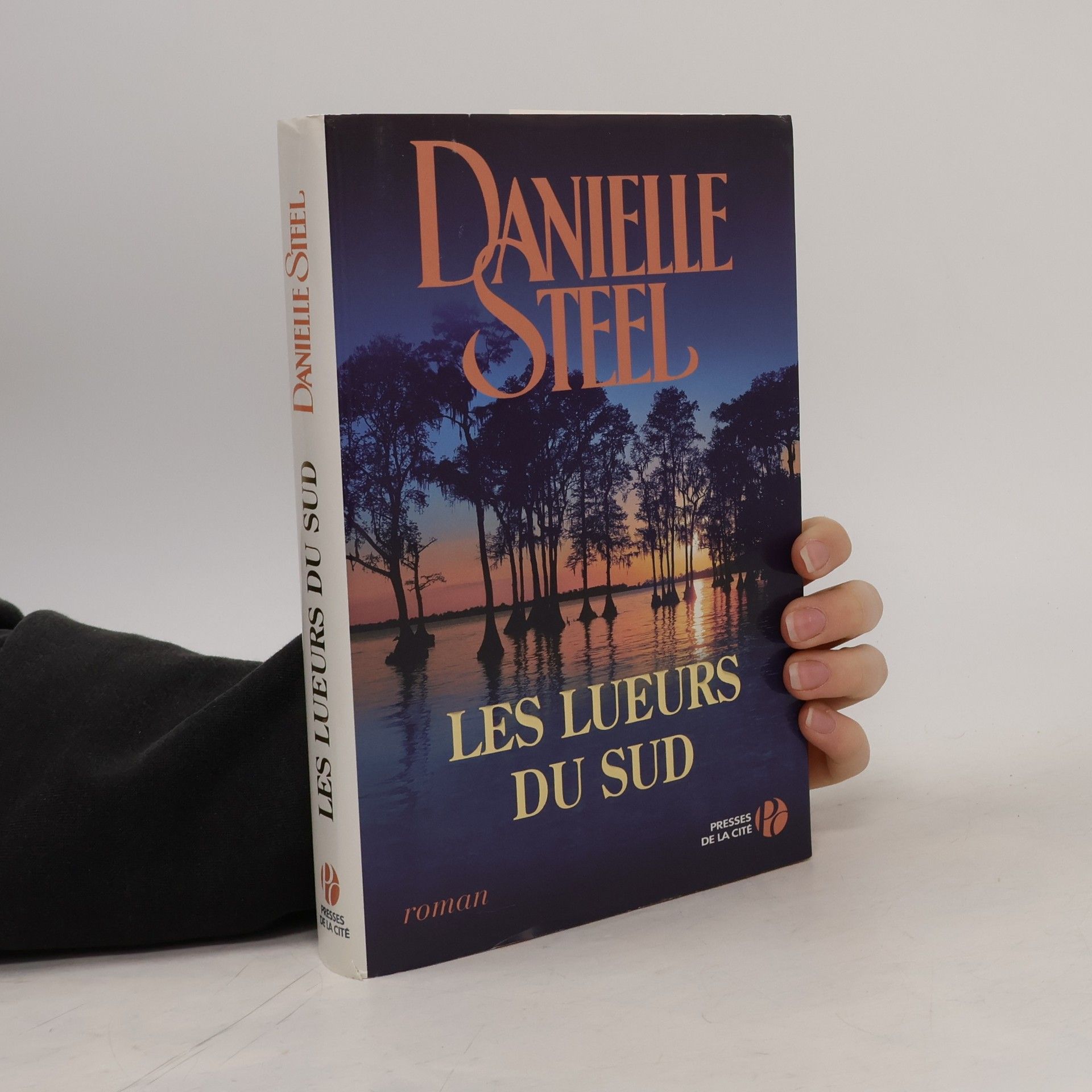Danielle Steel Les Lueurs du Sud