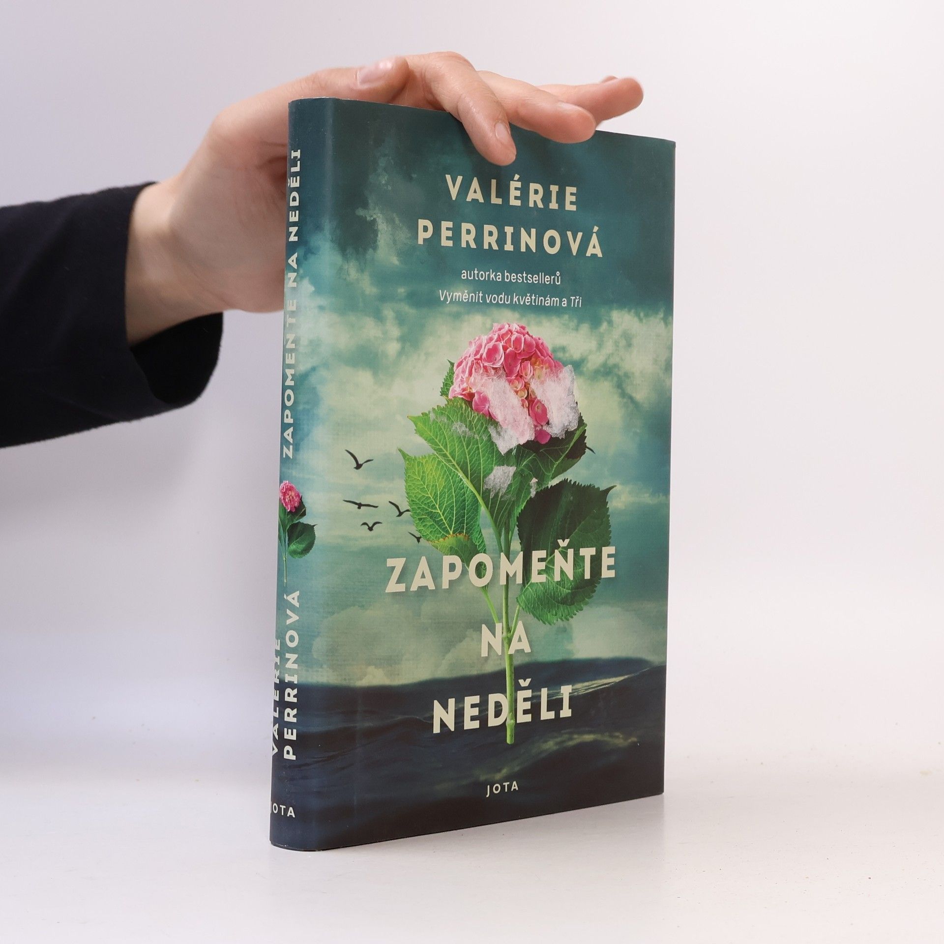 Valérie Perrin Zapomeňte na neděli