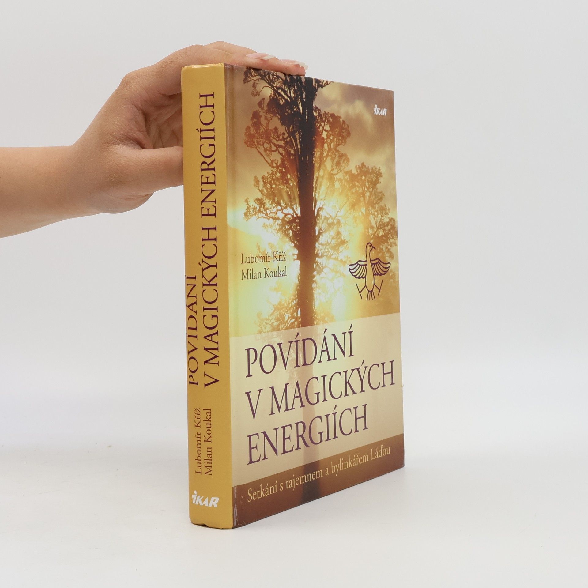 Lubomír Kříž Povídání v magických energiích