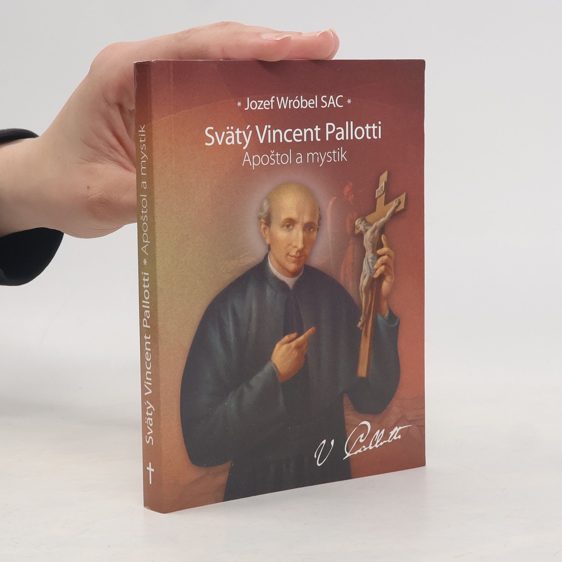 Jozef Wróbel Svätý Vincent Pallotti. Apoštol a mystik