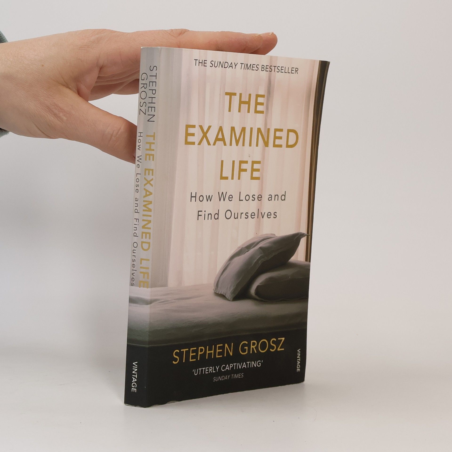 Stephen Grosz The Examined Life