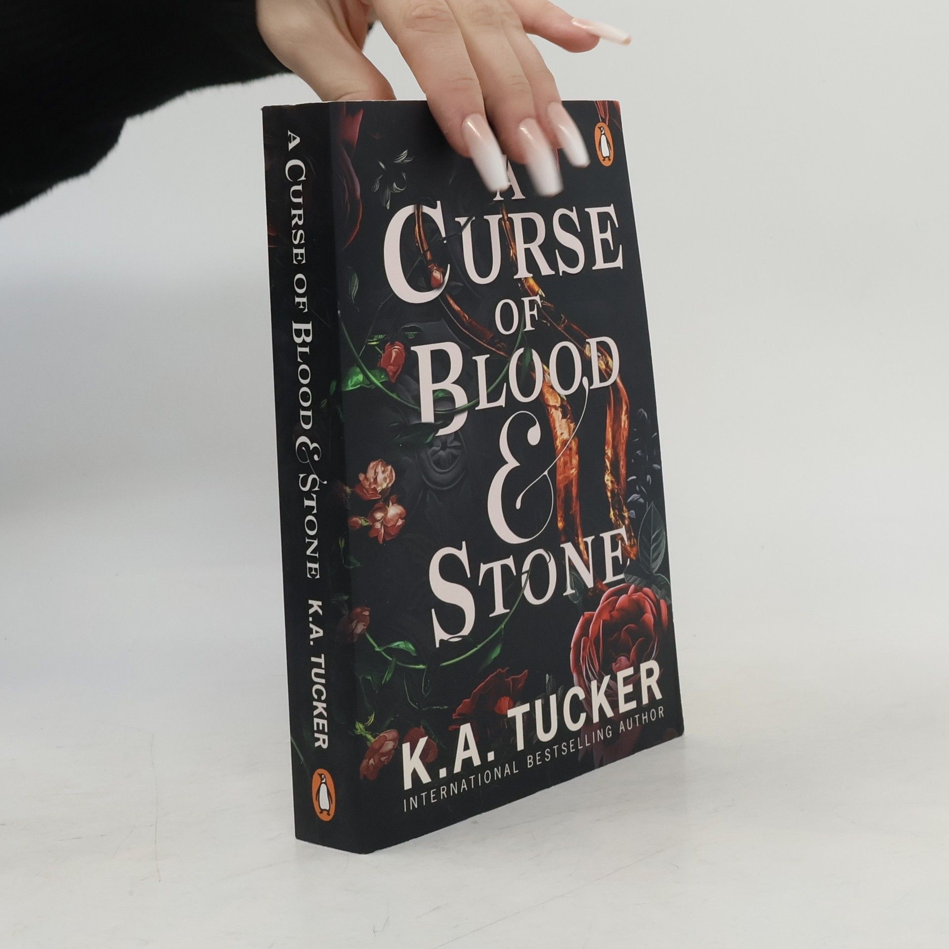 A Curse of Blood and Stone