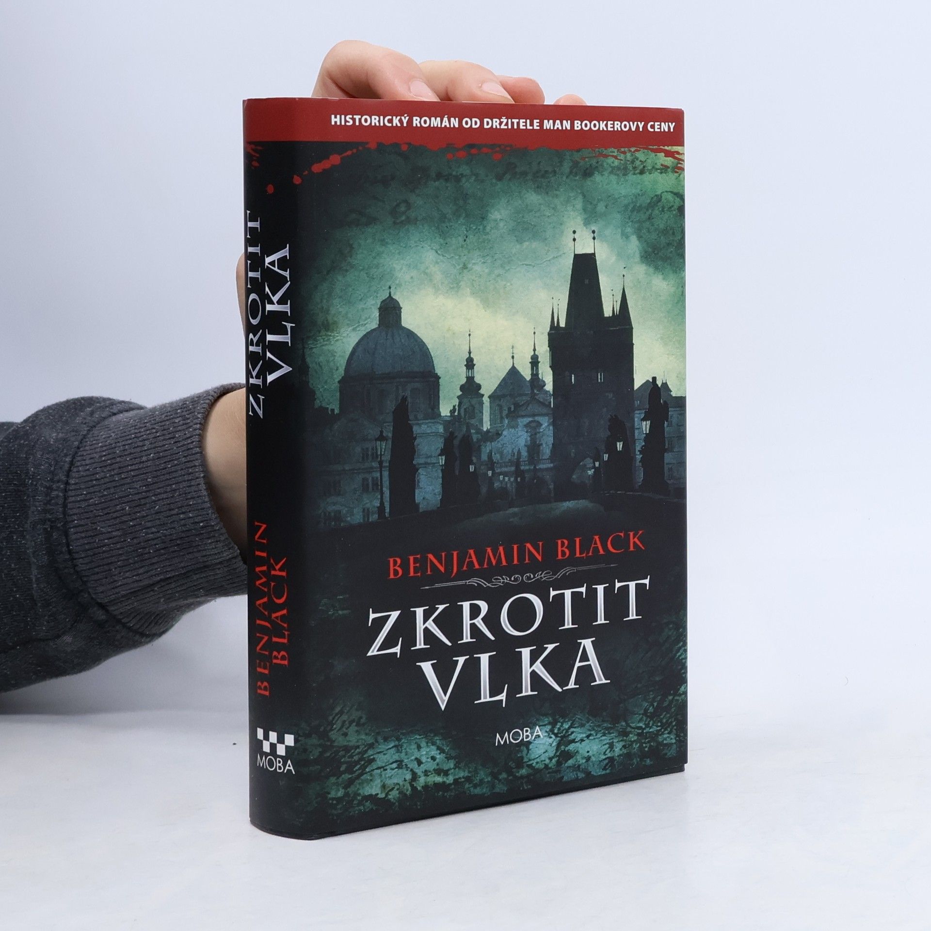 John Banville Zkrotit vlka