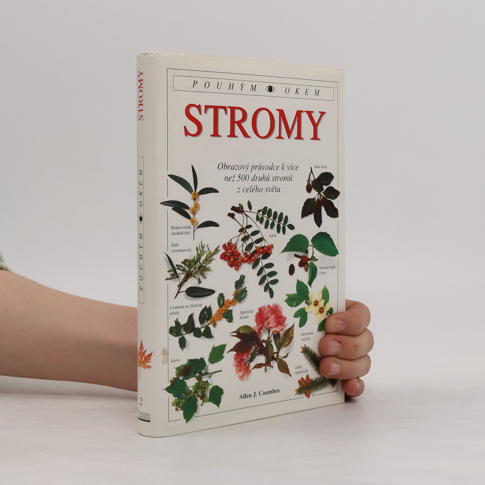 Allen J. Coombes Stromy