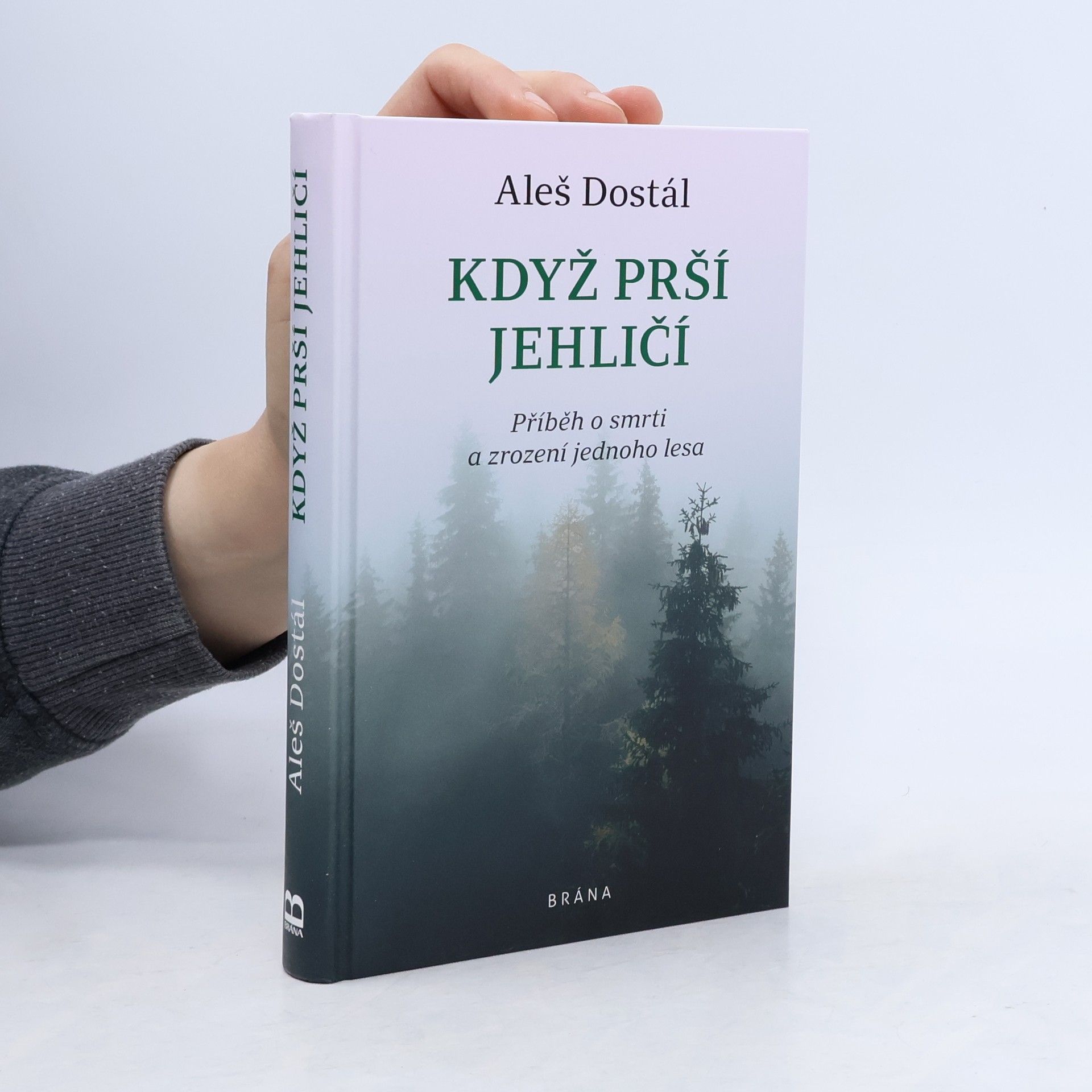 Aleš Dostál Když prší jehličí : příběh o smrti a zrození jednoho lesa