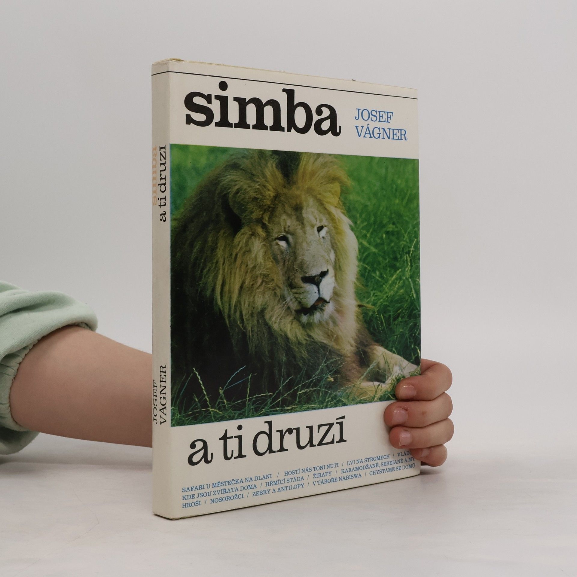 Simba a ti druzí