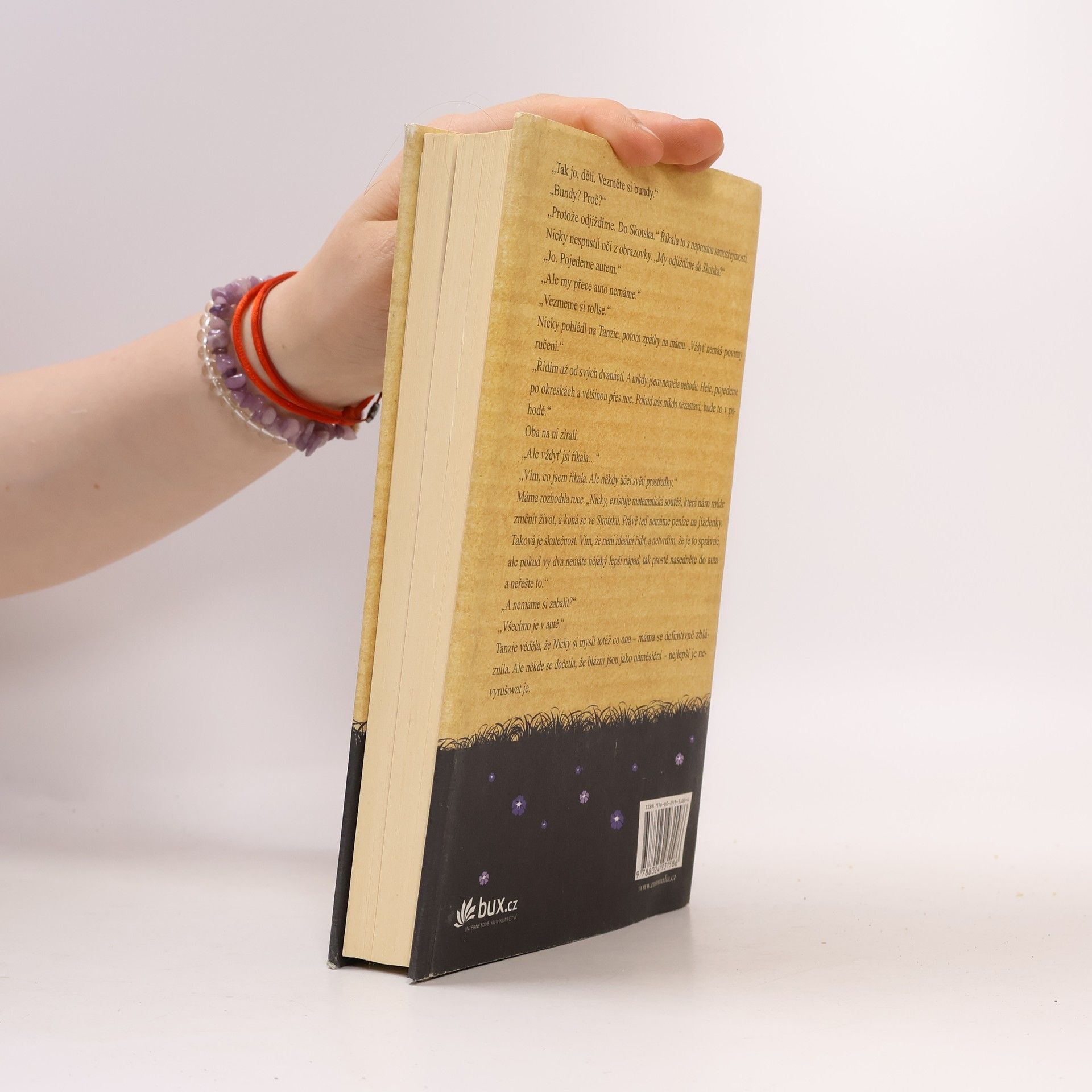 Jojo Moyes Jeden plus jedna