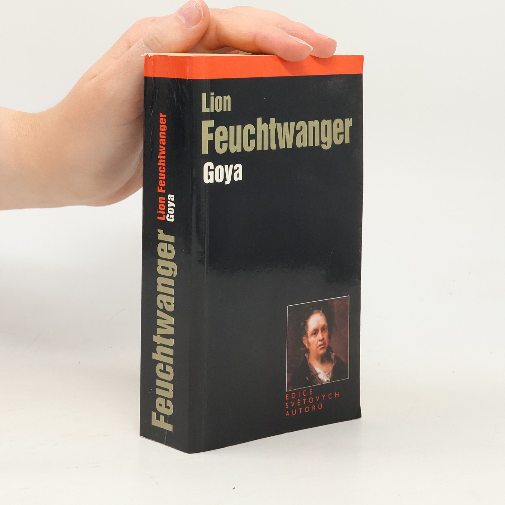 Lion Feuchtwanger Goya