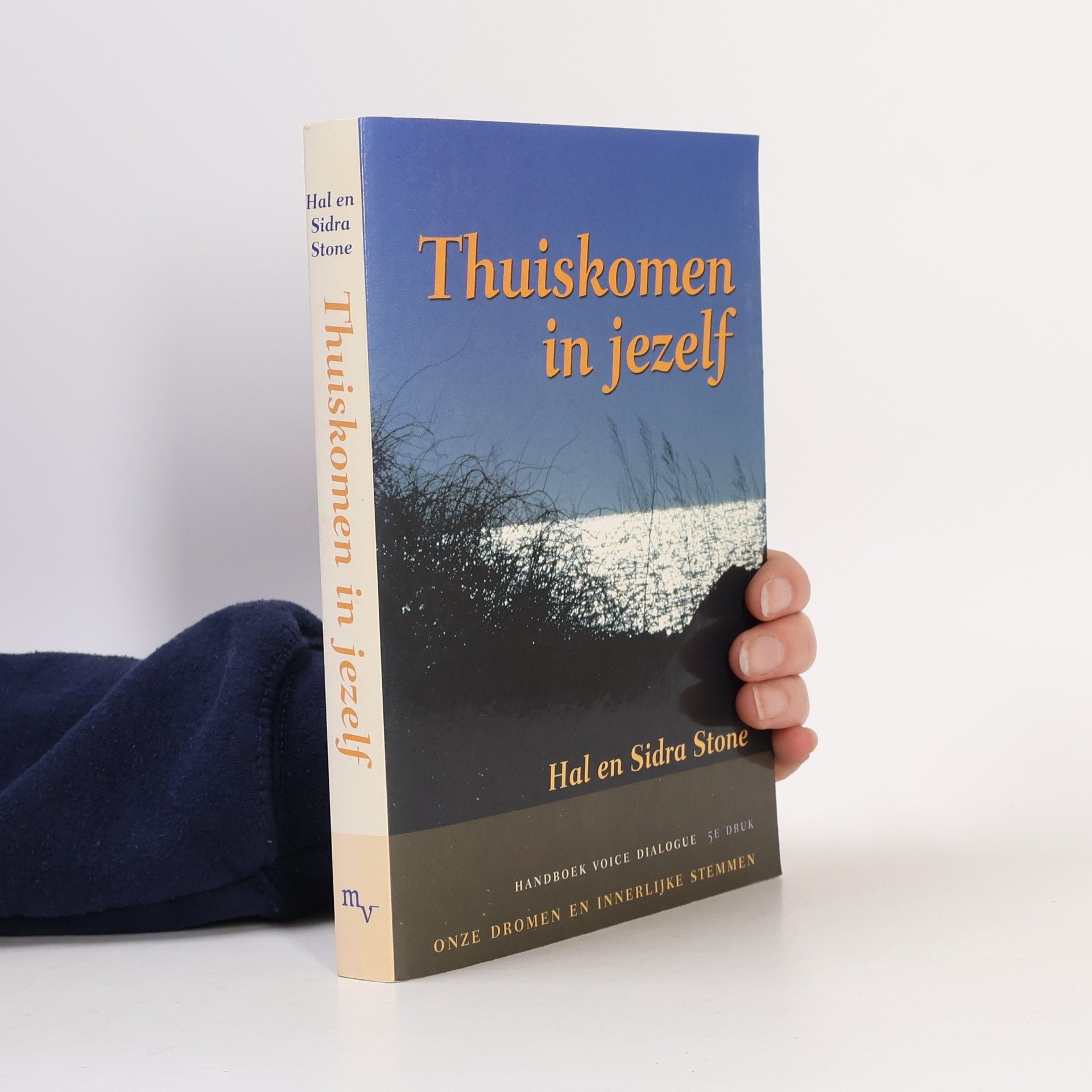 Sidra Stone Thuiskomen in jezelf